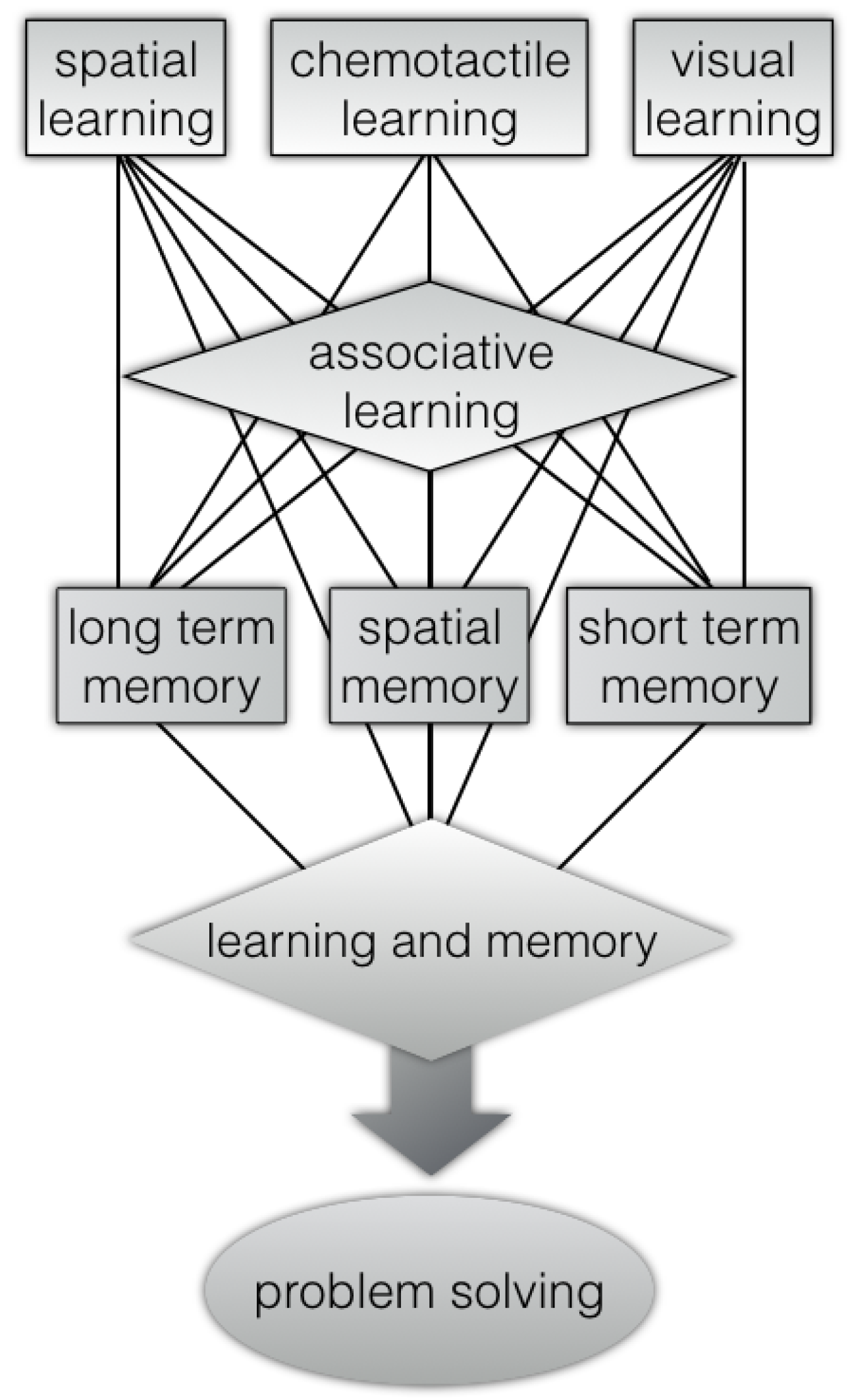 Animals 10 00457 g001