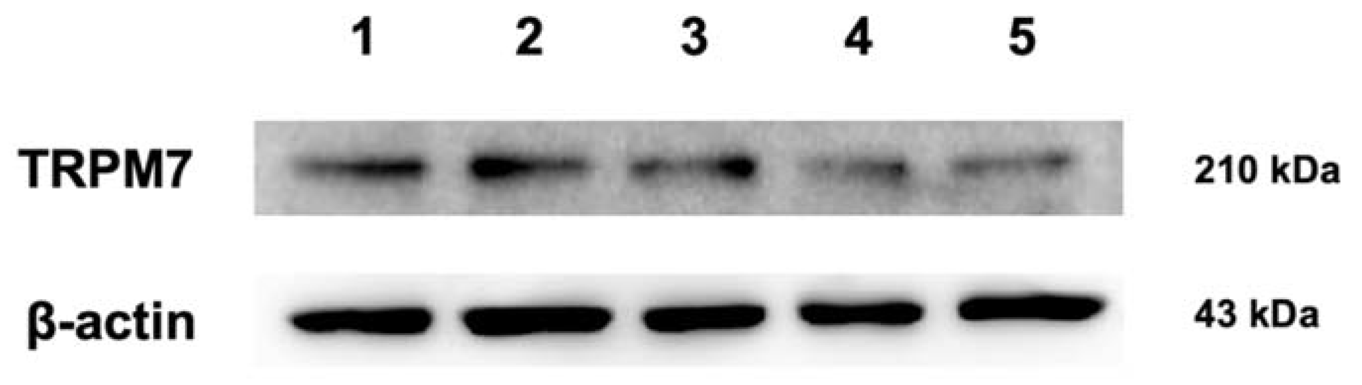 Animals 10 00466 g003 Animals 10 00466 g003