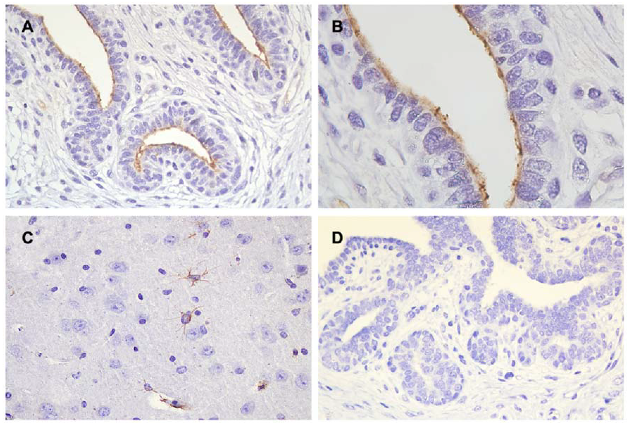 Animals 10 00466 g004 Animals 10 00466 g004