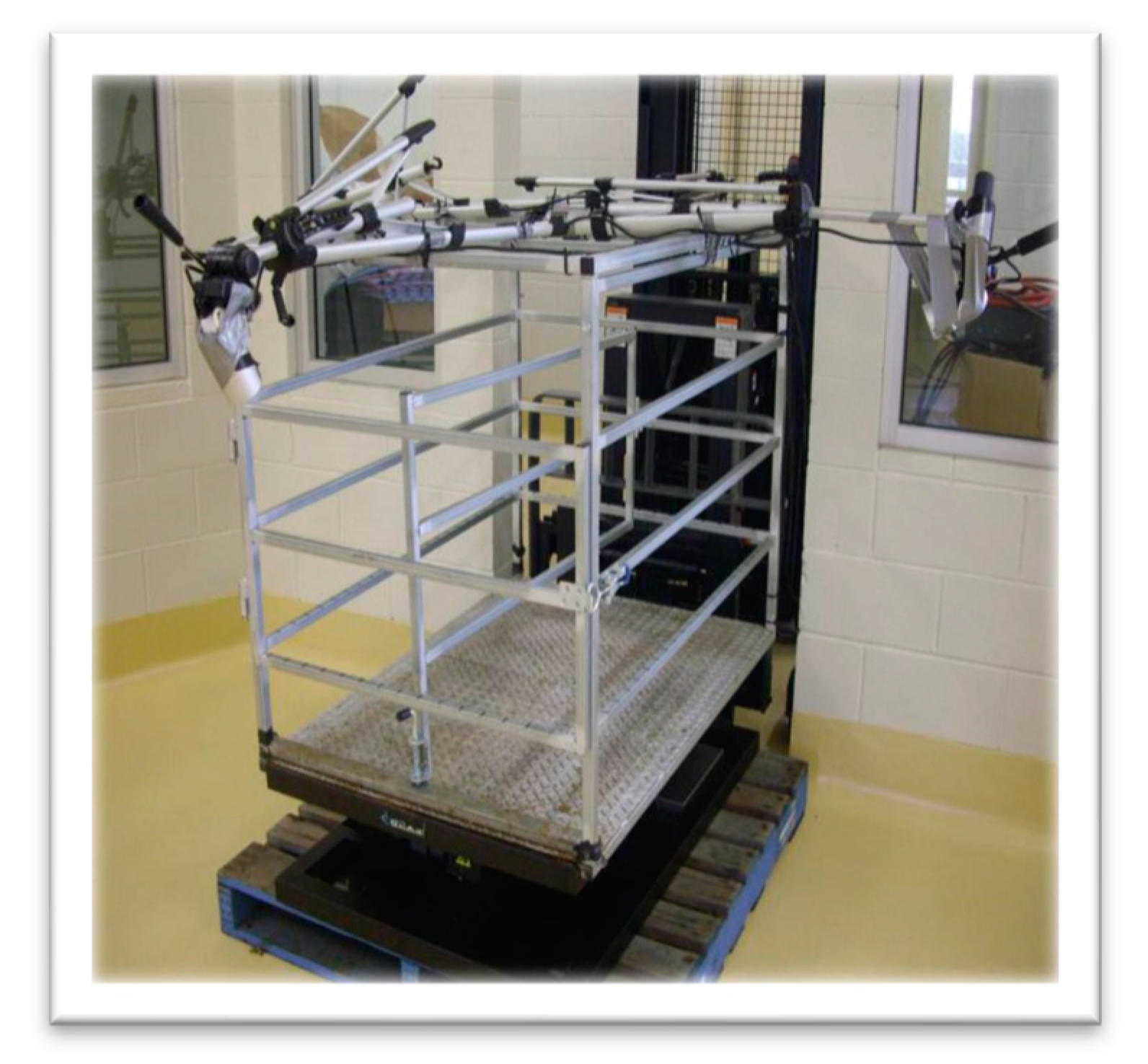 Animals 10 00476 g001