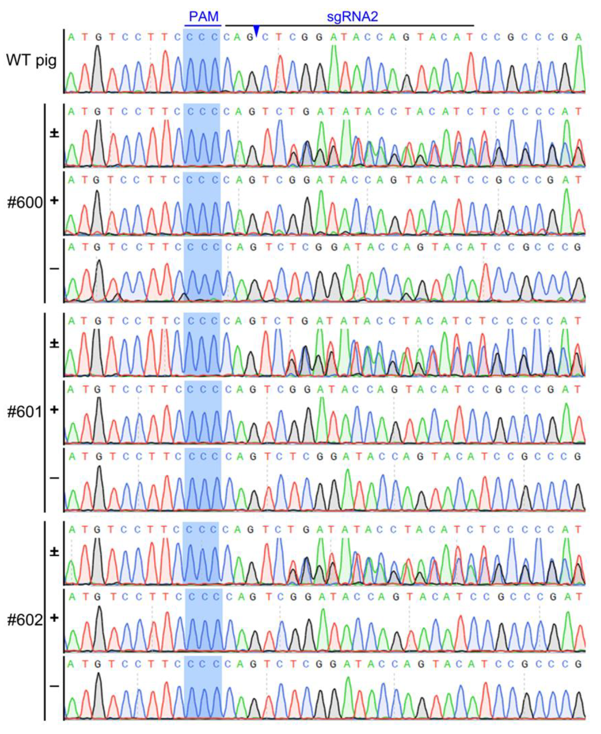 Animals 10 00501 g004 Animals 10 00501 g004