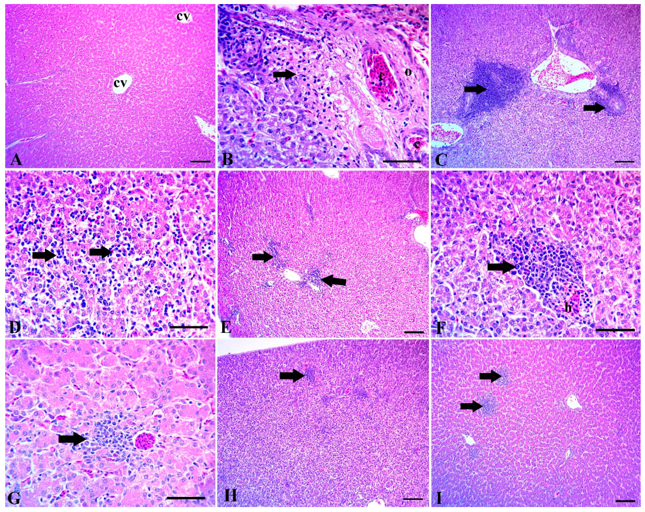 Animals 10 00507 g001 Animals 10 00507 g001