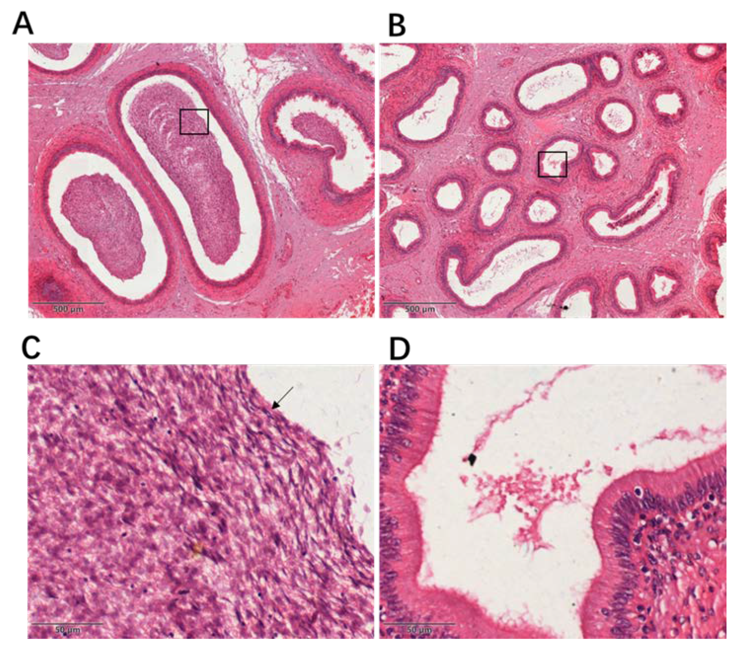 Animals 10 00521 g001 Animals 10 00521 g001