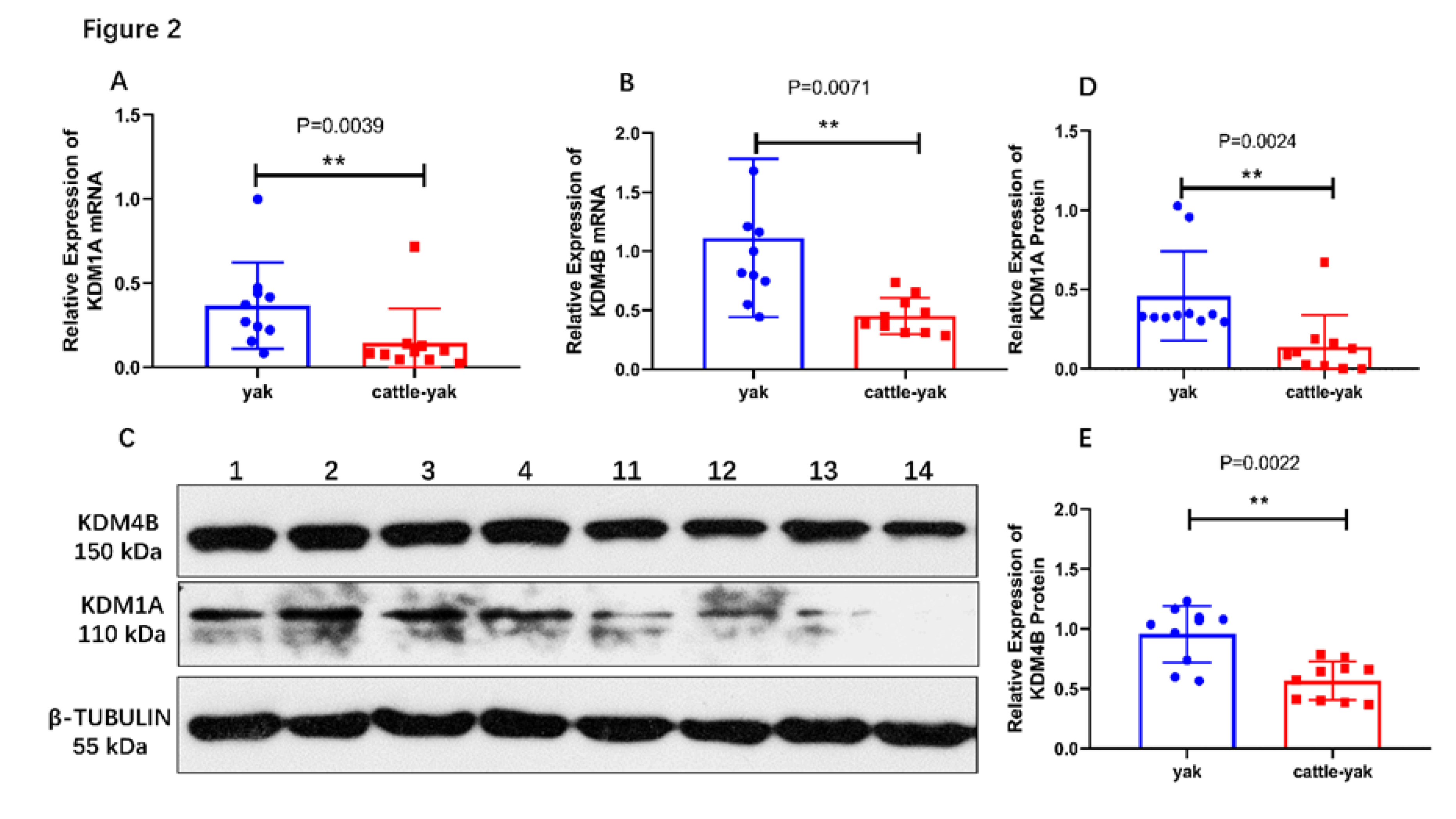 Animals 10 00521 g002 Animals 10 00521 g002