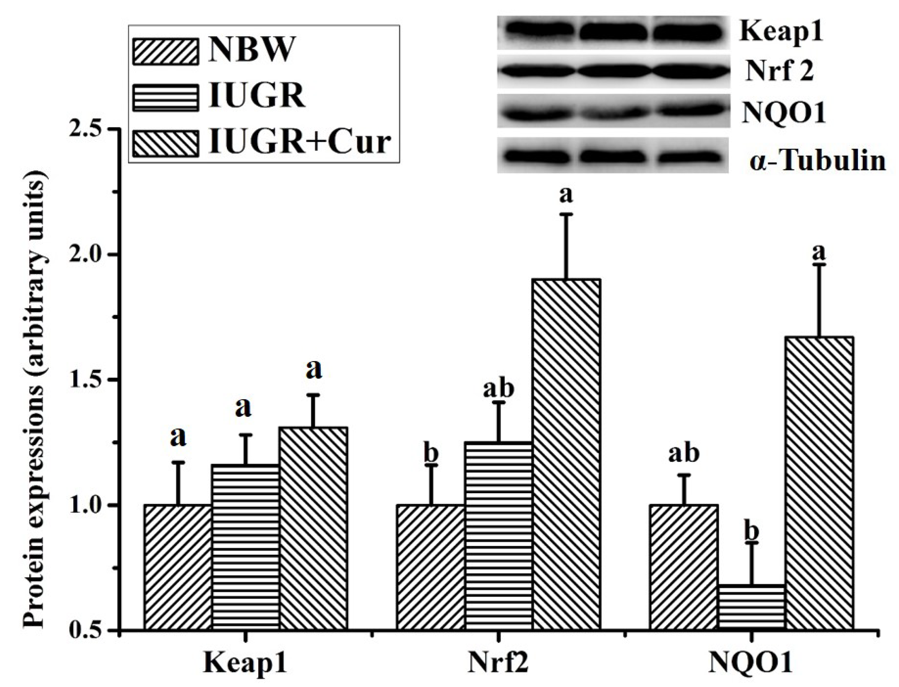 Animals 10 00539 g002
