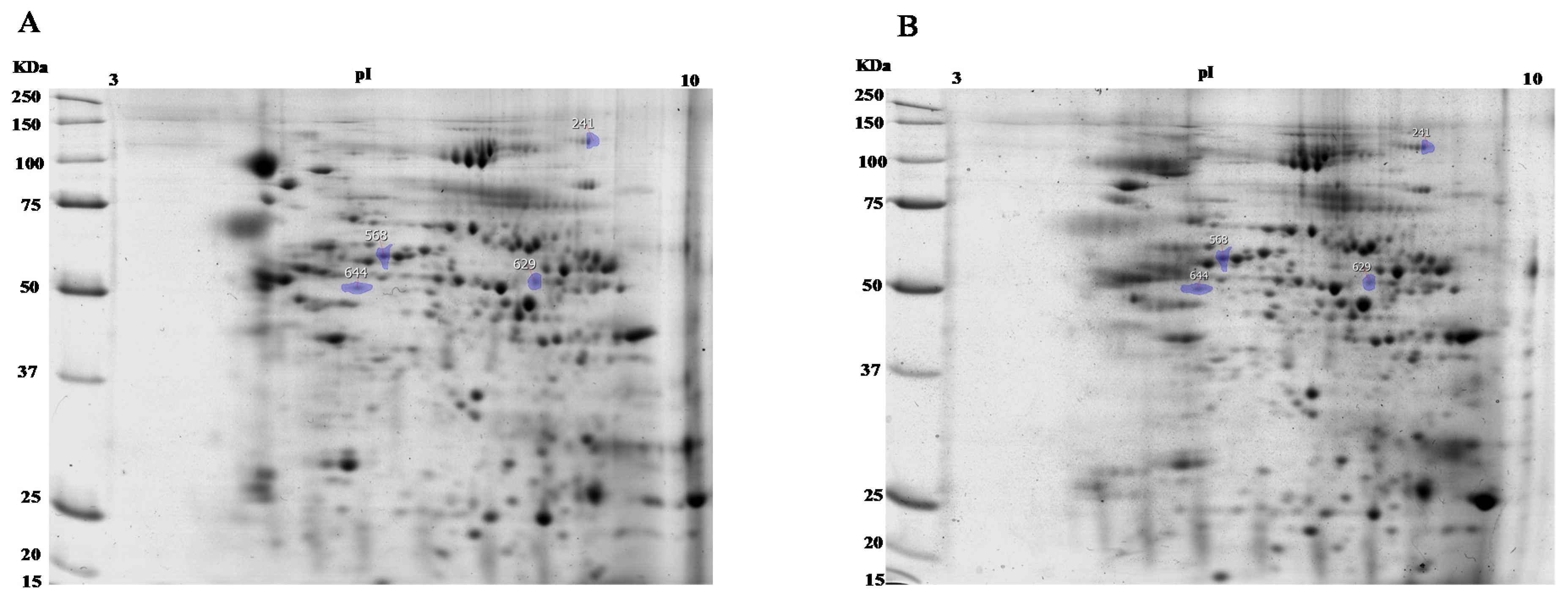 Animals 10 00553 g001