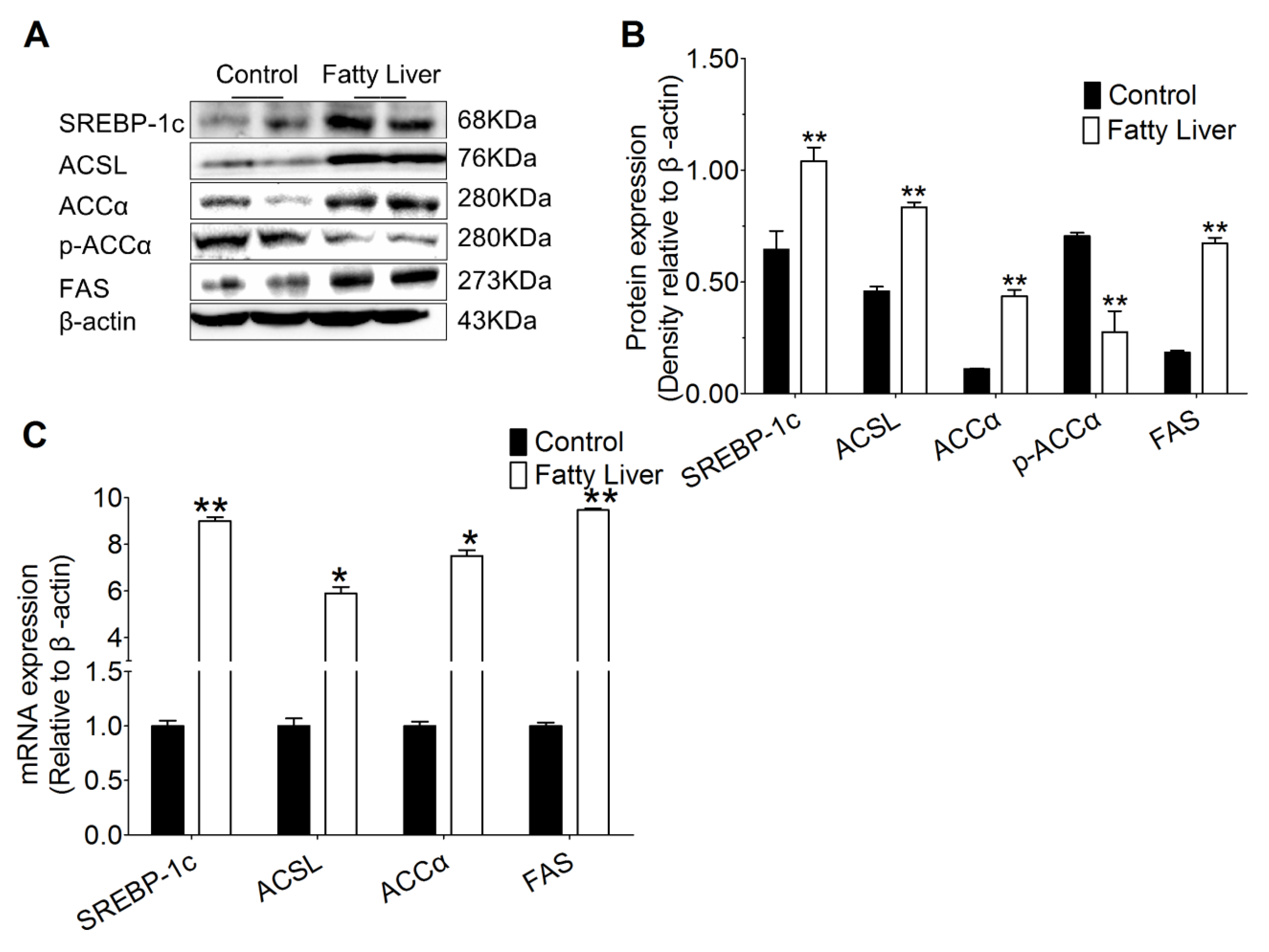 Animals 10 00560 g005 Animals 10 00560 g005