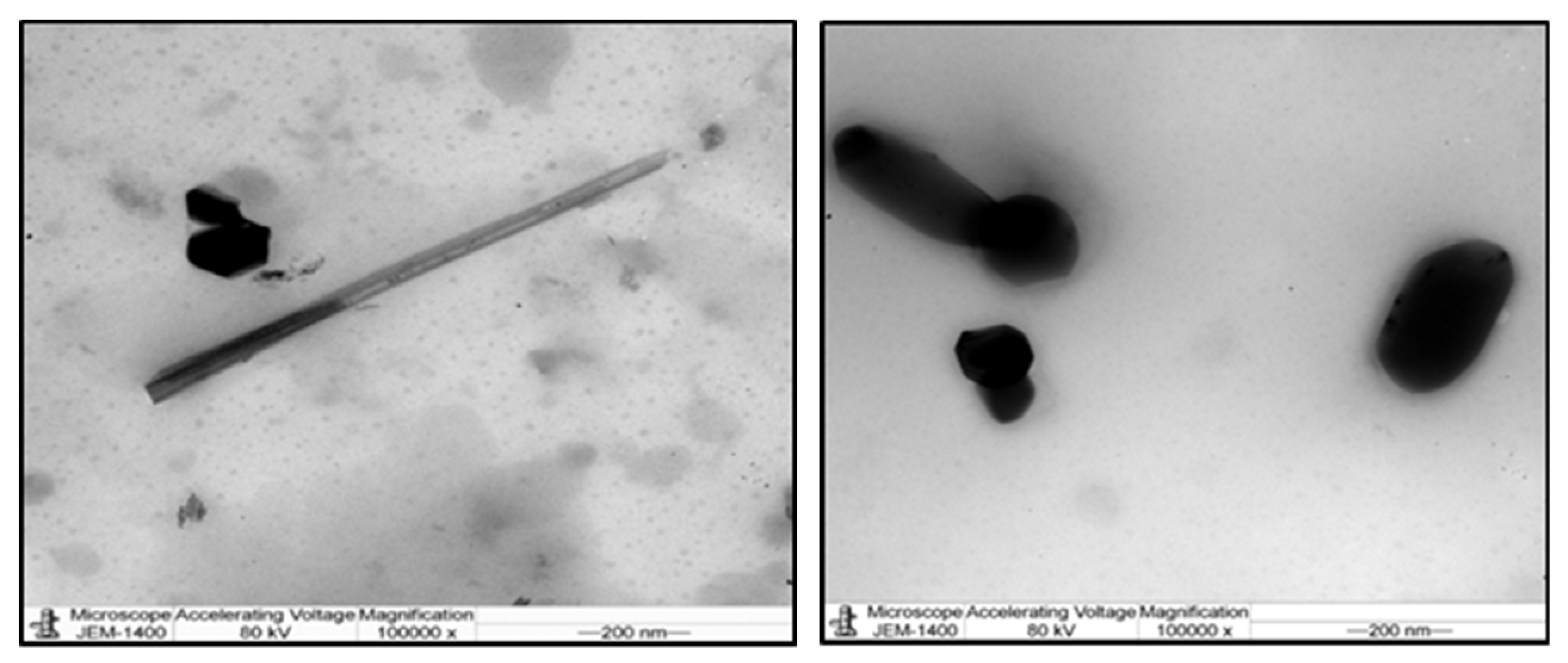 Animals 10 00573 g002 Animals 10 00573 g002