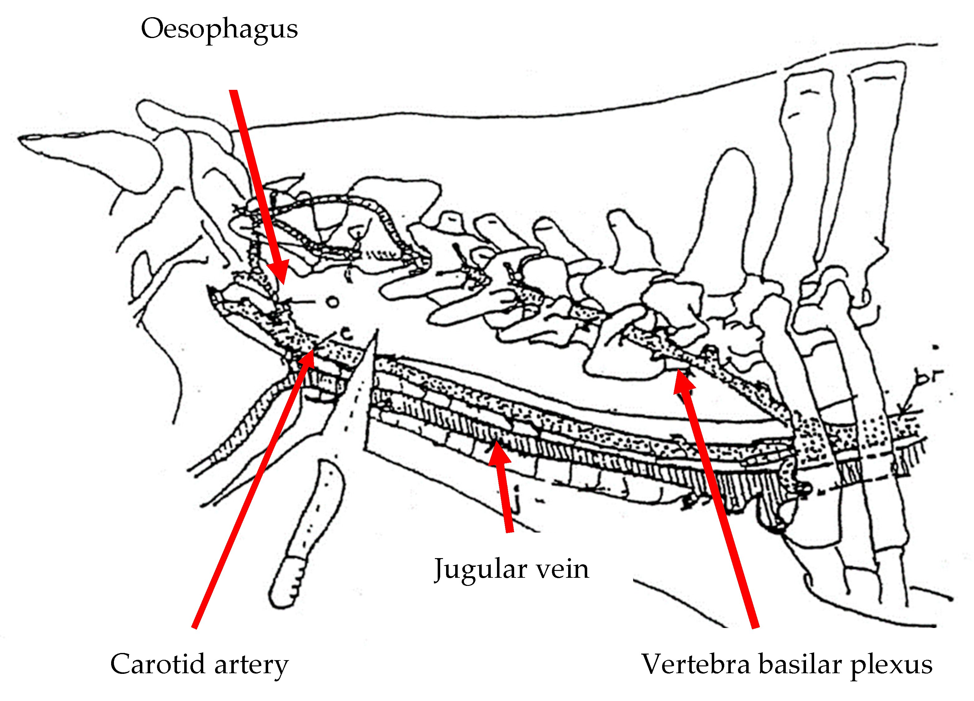 Animals 10 00579 g001 Animals 10 00579 g001
