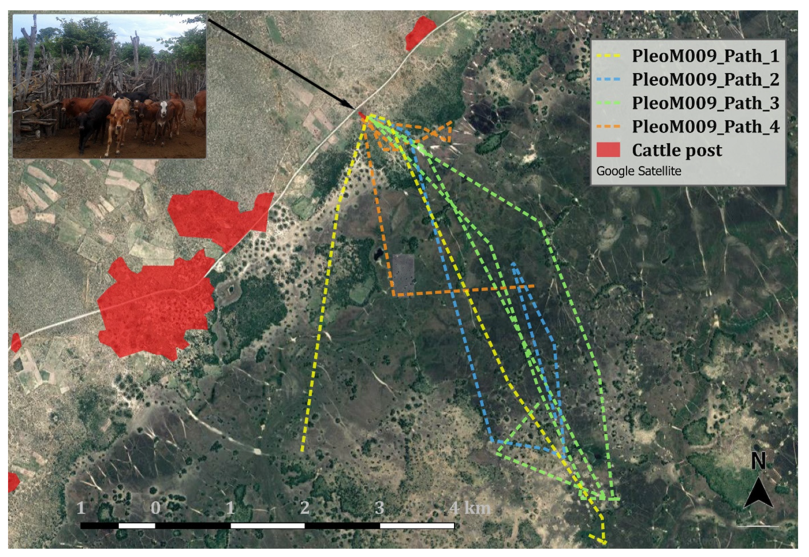 Animals 10 00692 g007 Animals 10 00692 g007