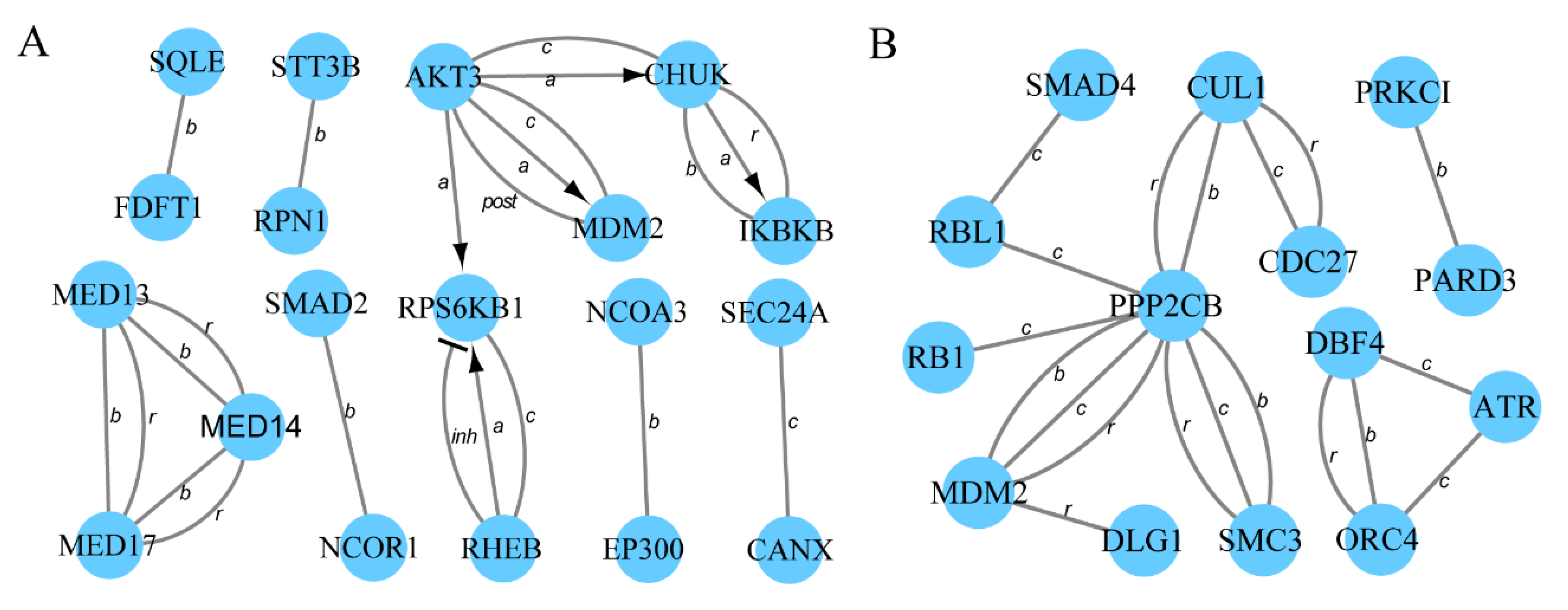 Animals 10 00696 g004 Animals 10 00696 g004