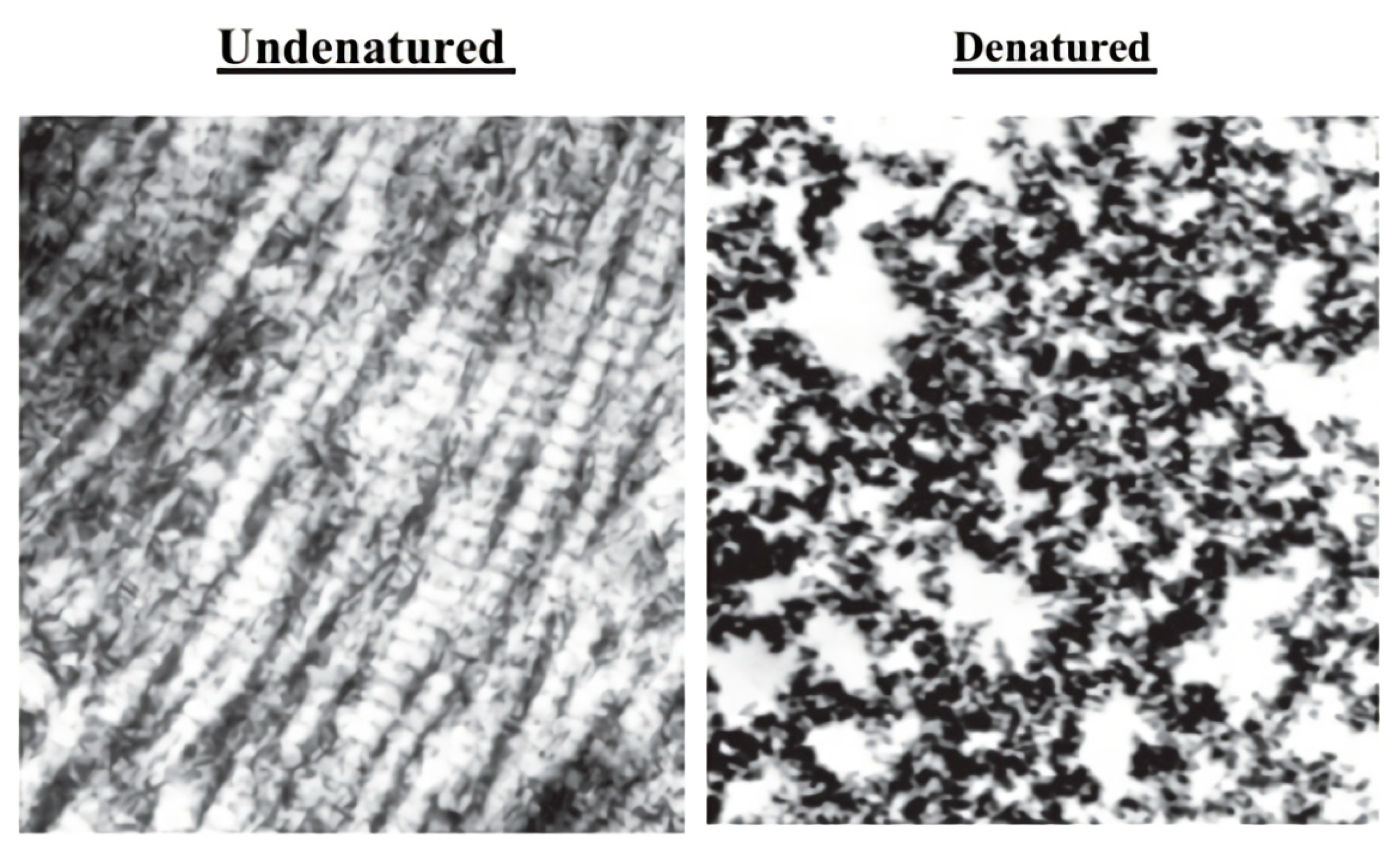 Animals 10 00697 g003