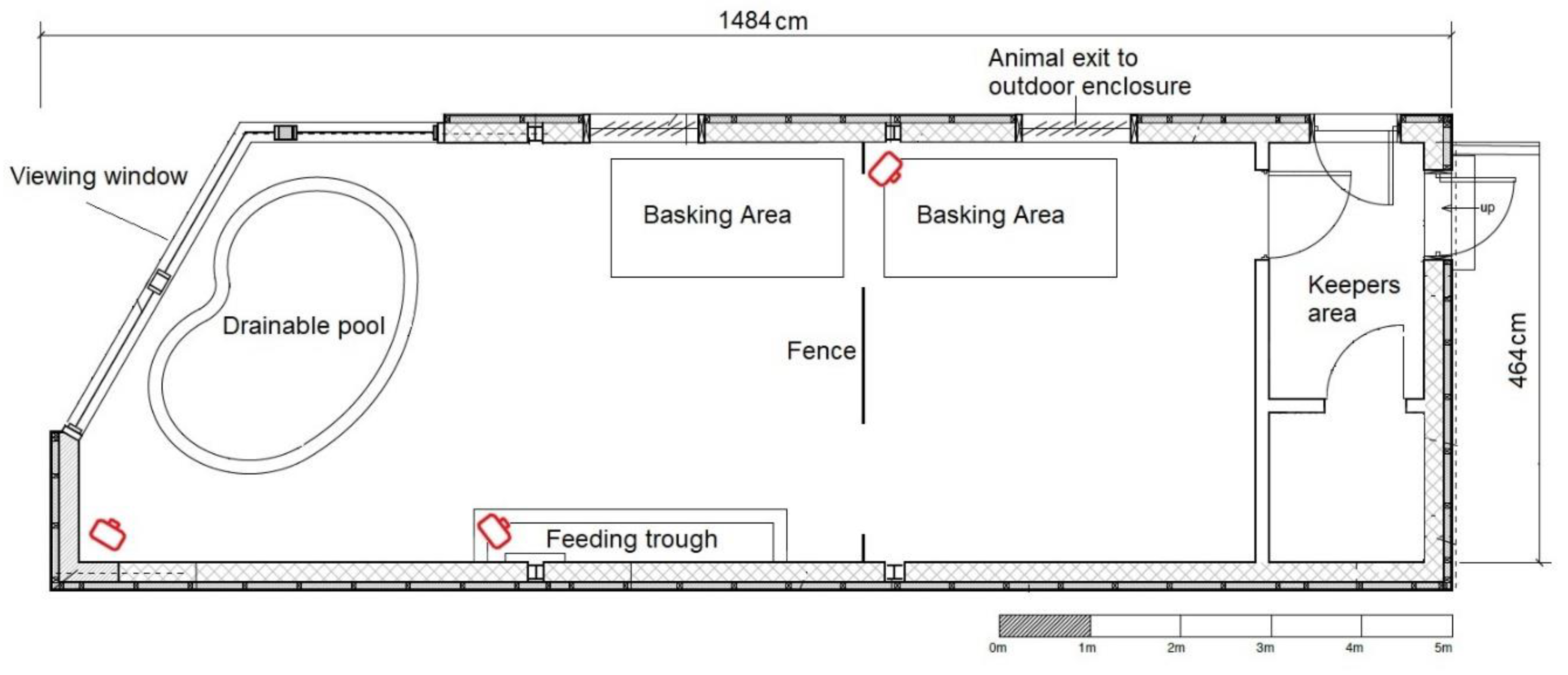 Animals 10 00699 g001