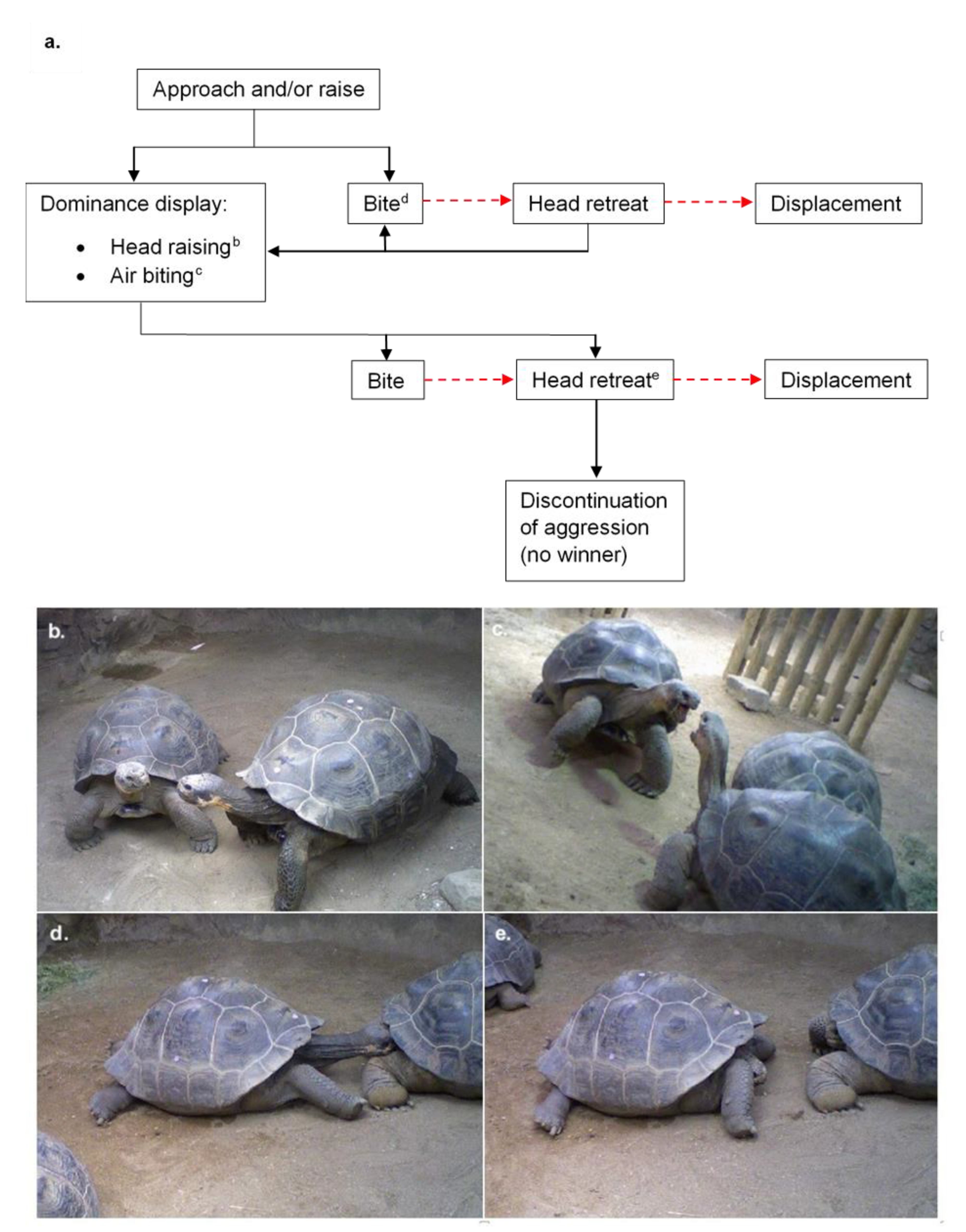 Animals 10 00699 g002