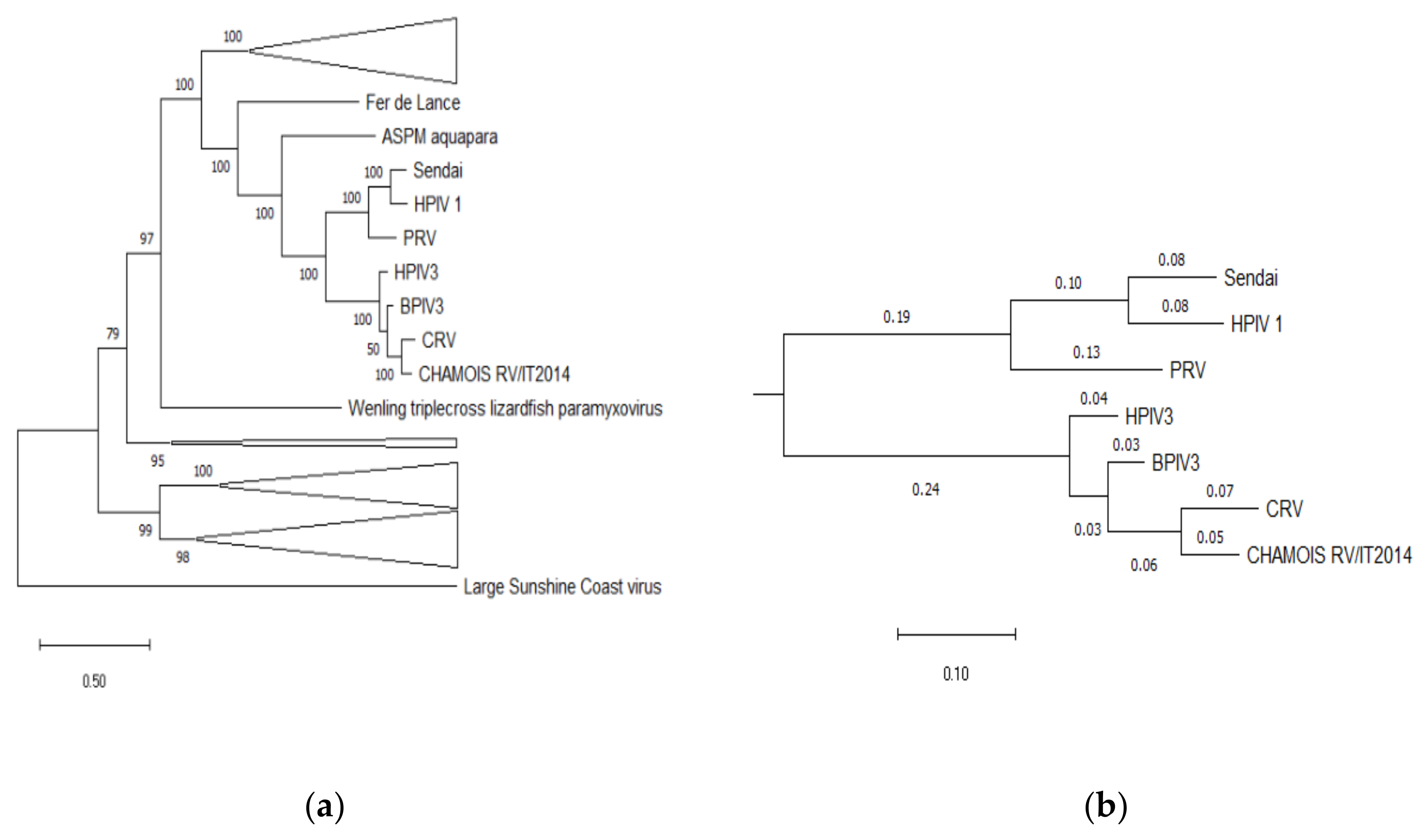 Animals 10 00704 g004