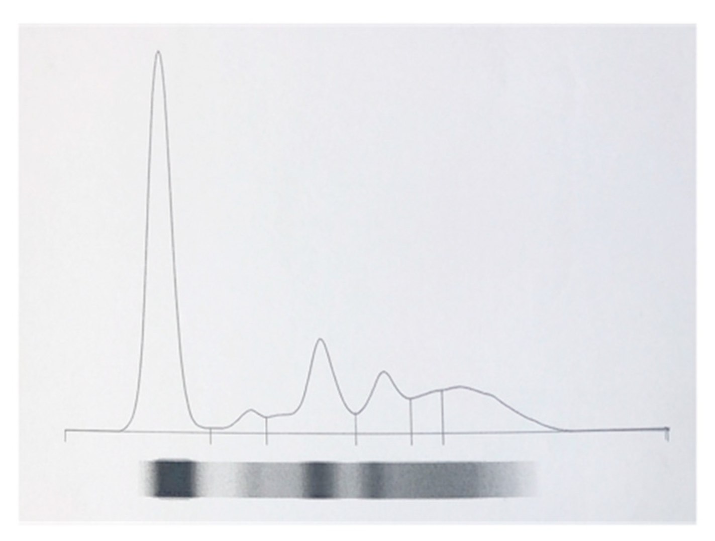 Animals 10 00716 g001