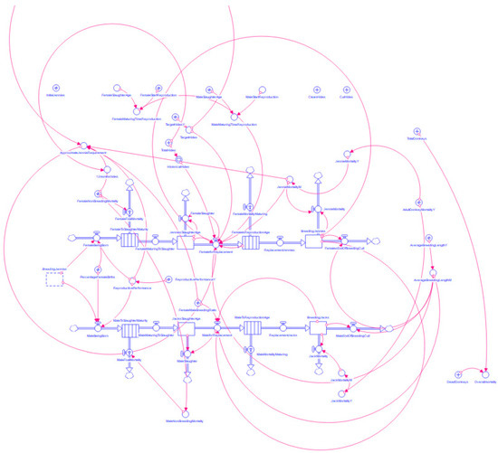 Animals 10 00718 g0a2