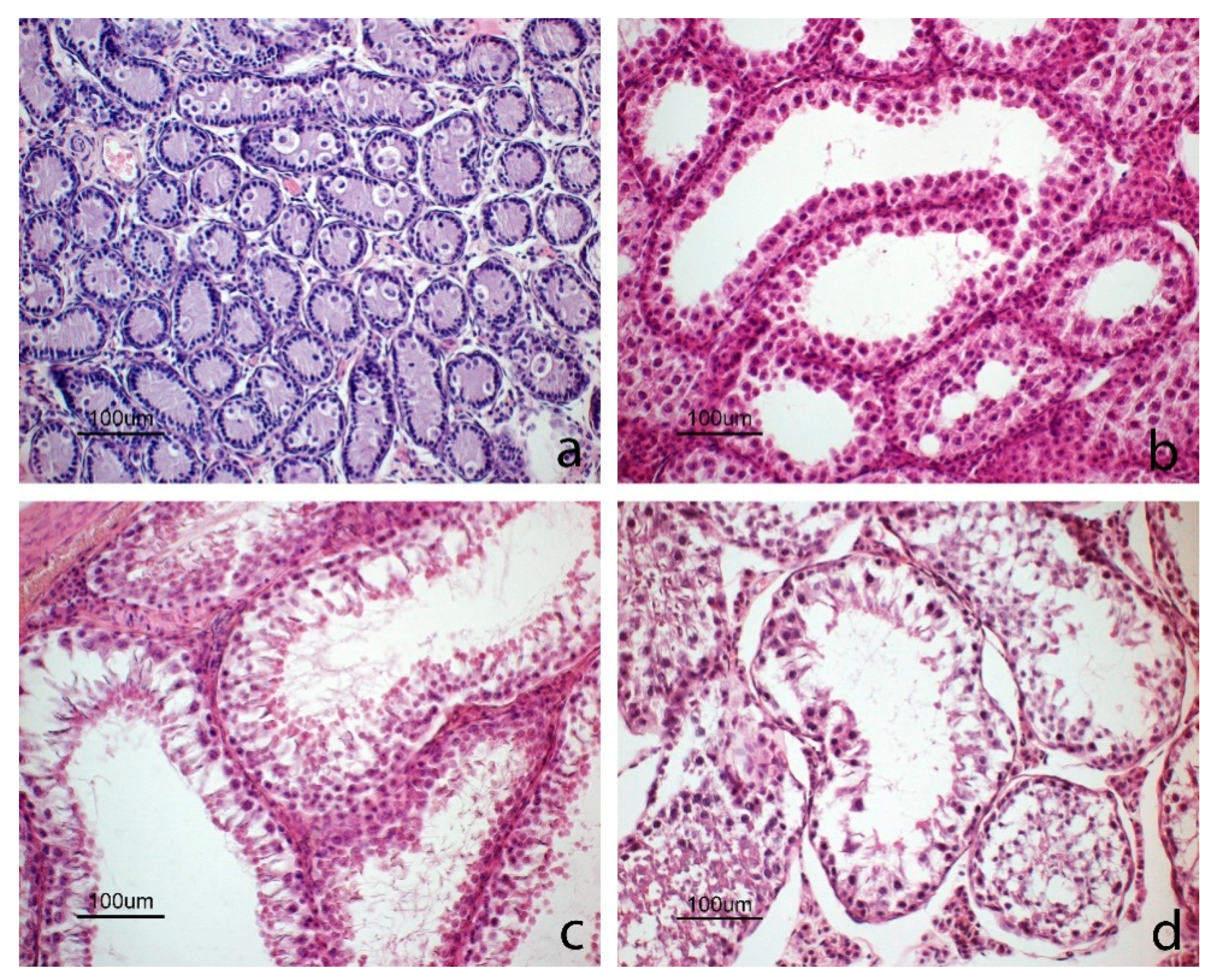 Animals 10 00738 g004