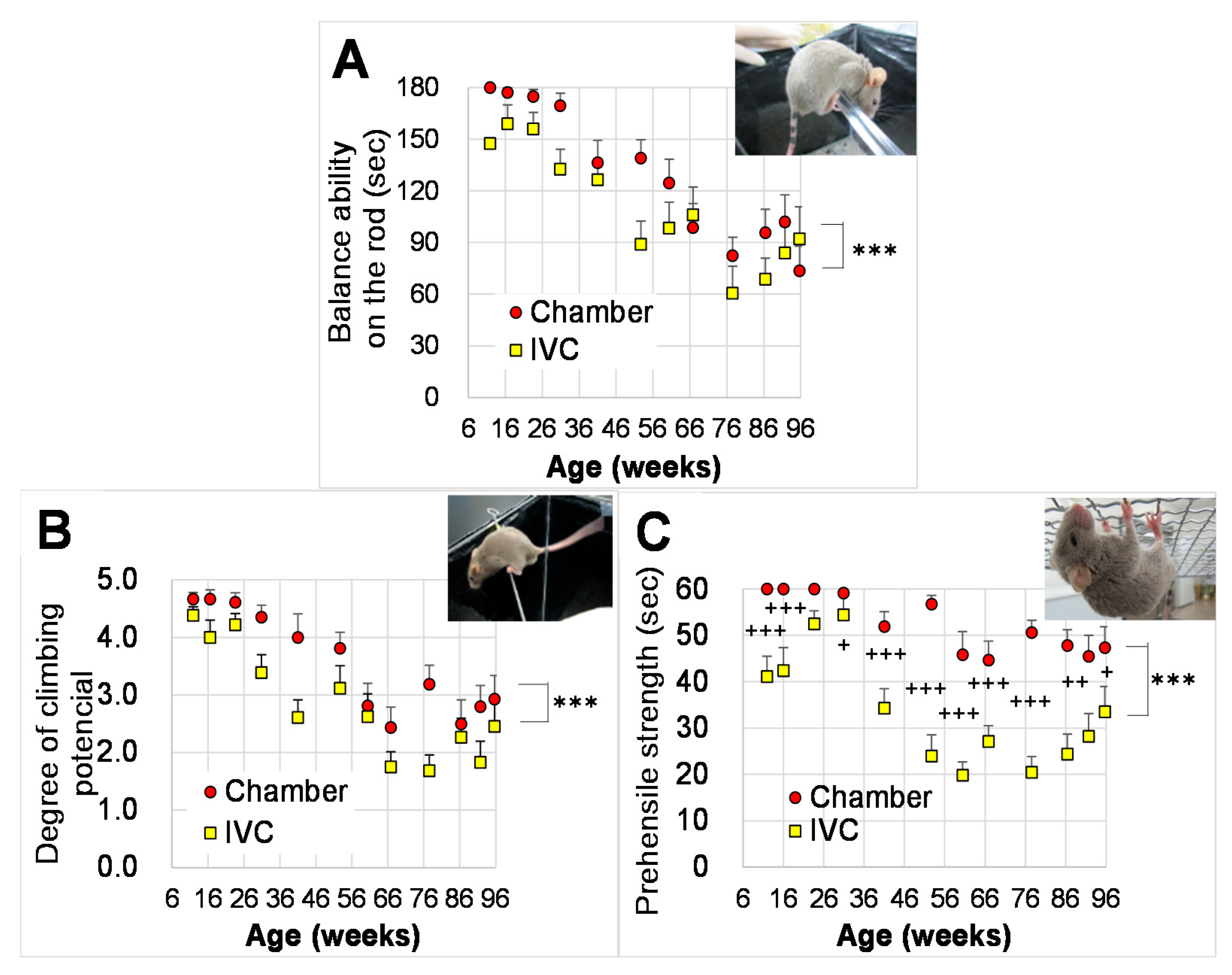 Animals 10 00746 g005