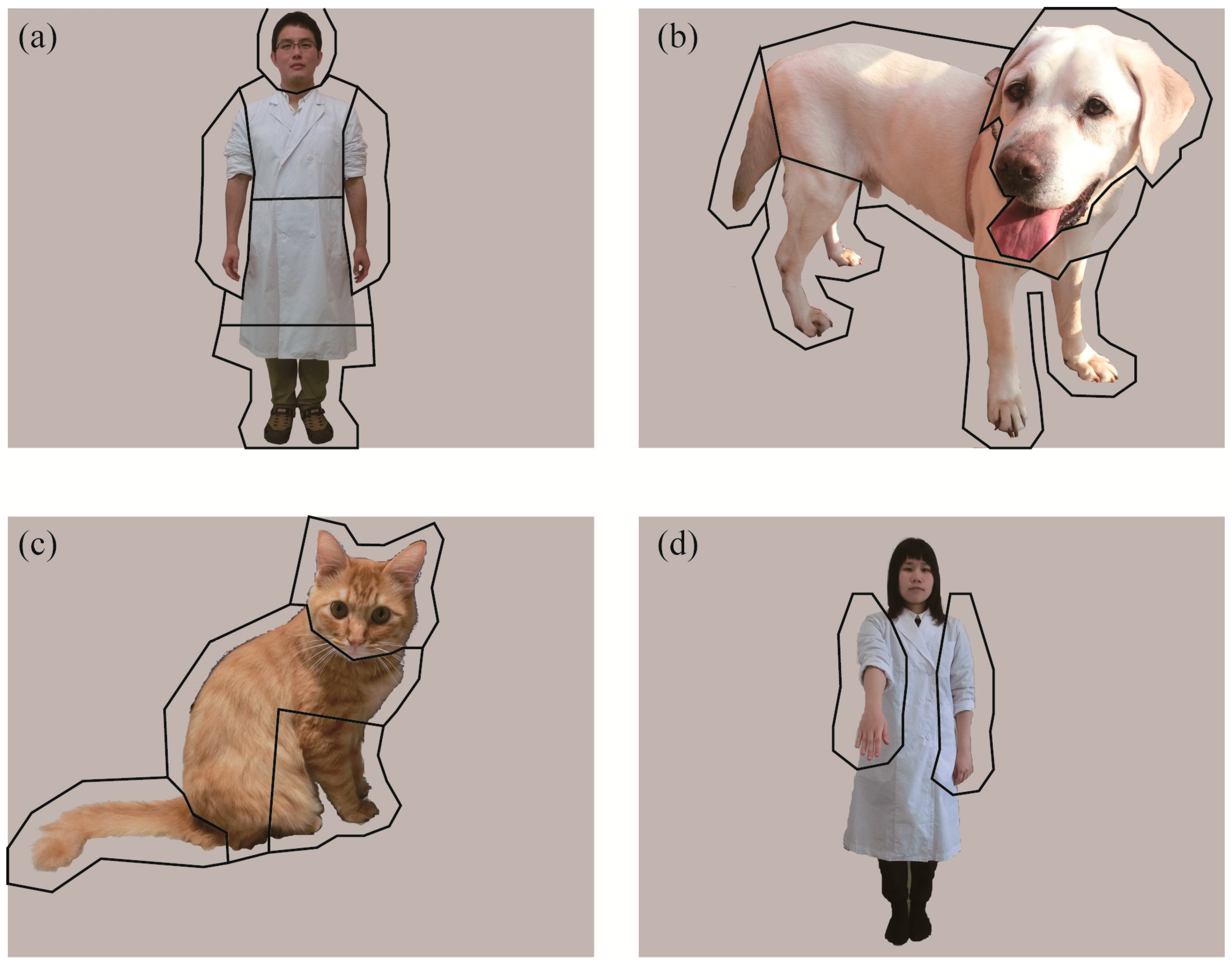Animals 10 00755 g002 Animals 10 00755 g002
