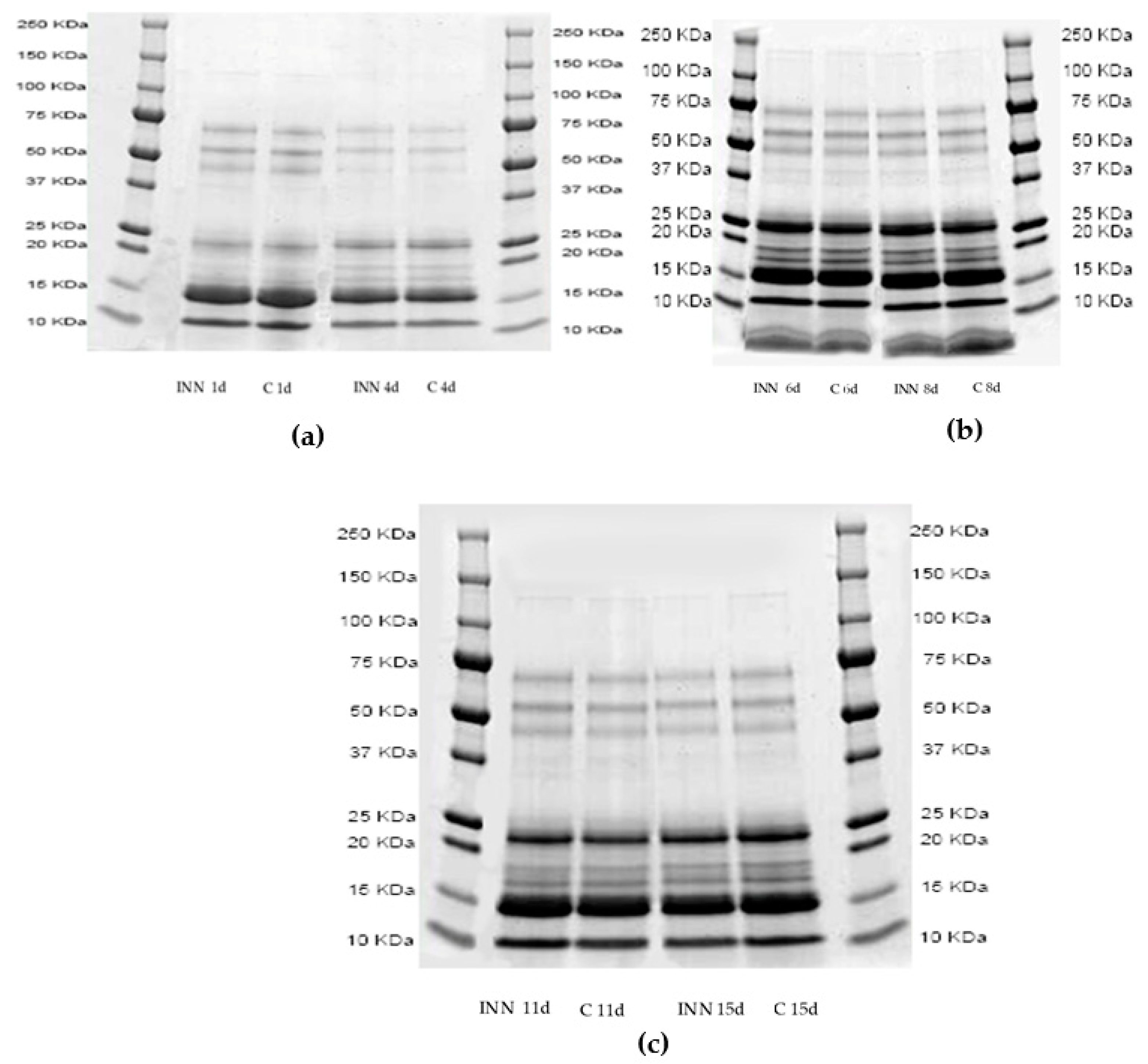 Animals 10 00782 g001