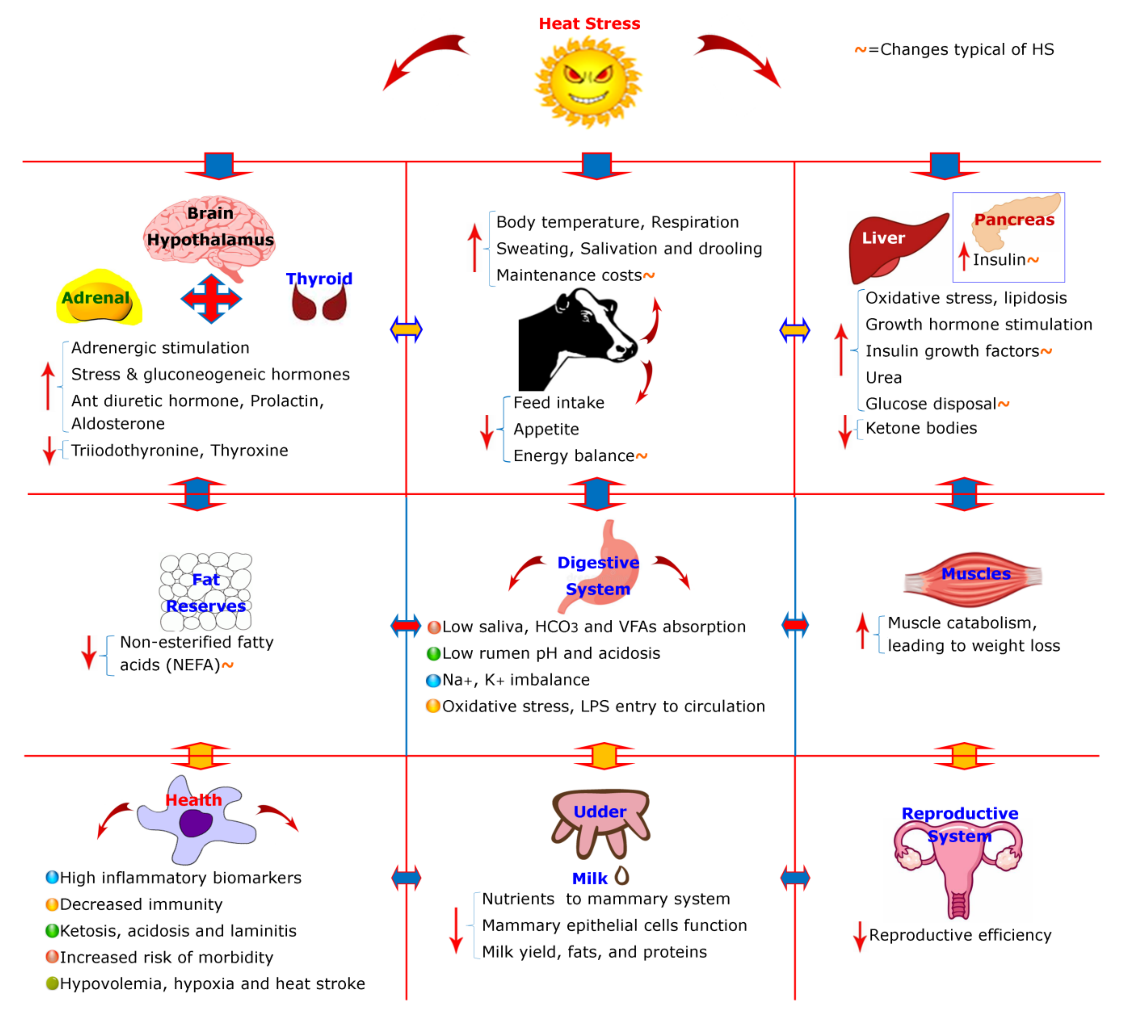 Animals 10 00793 g001