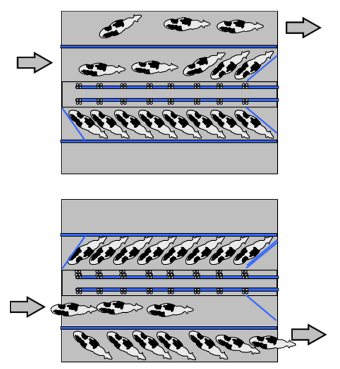 Animals 10 00795 g003