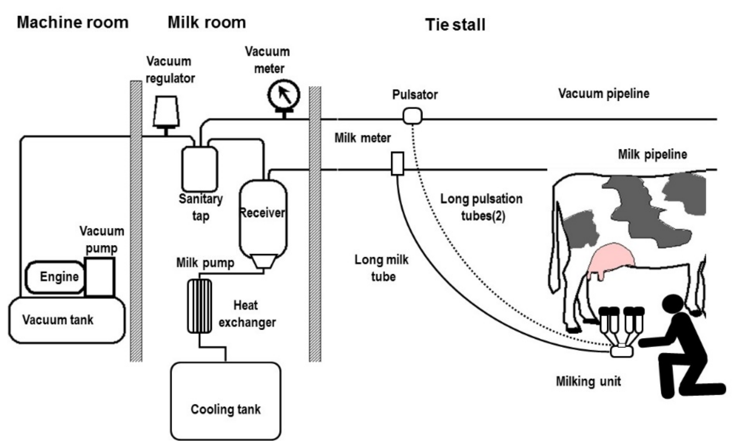 Animals 10 00795 g007