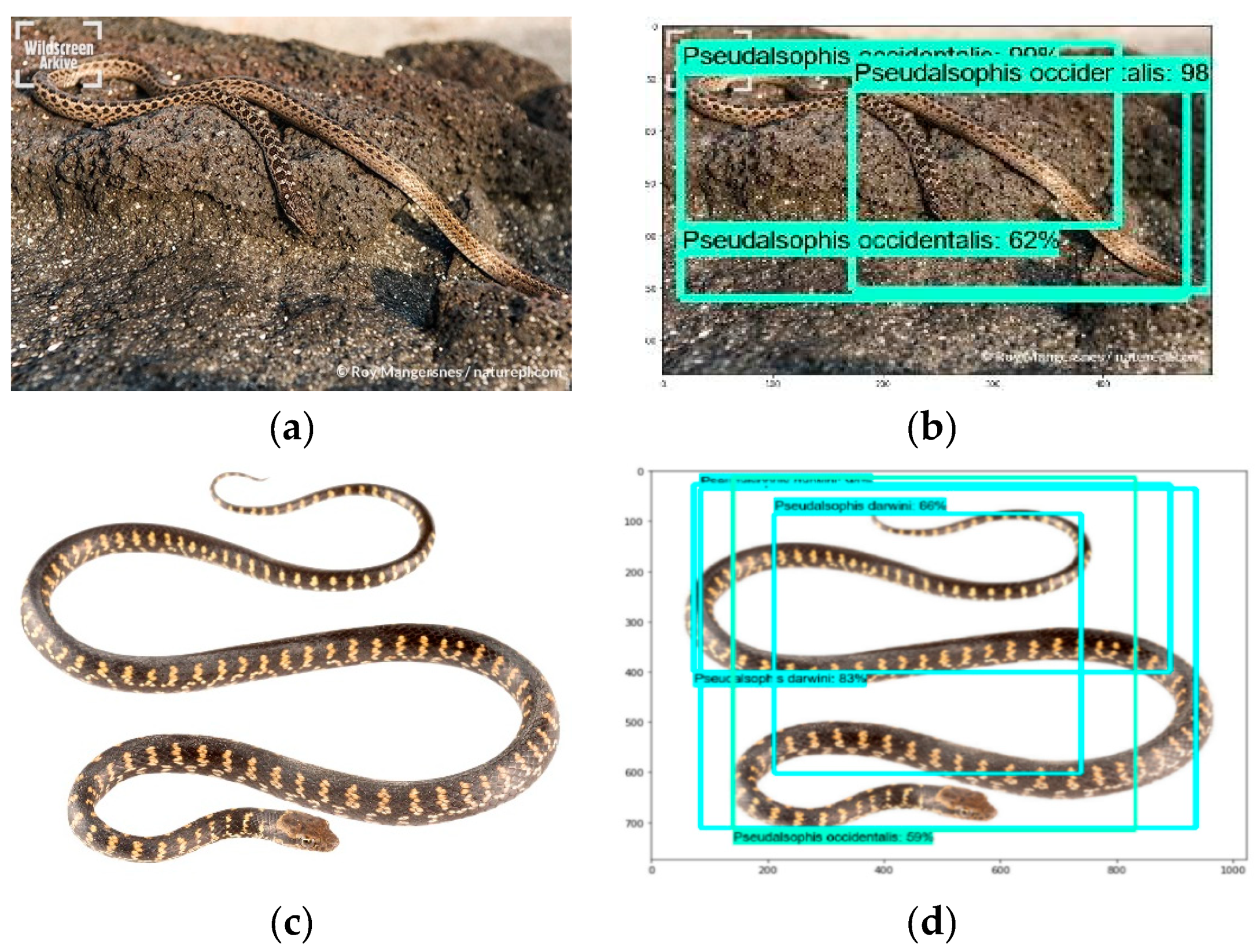 Animals 10 00806 g009