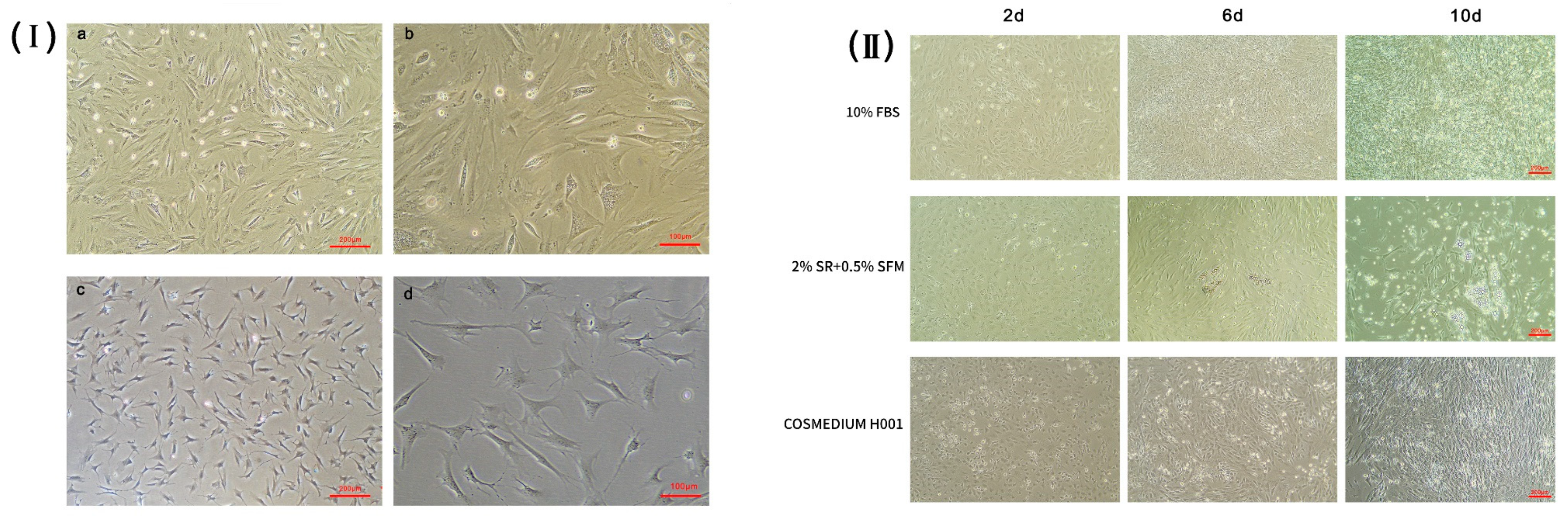 Animals 10 00818 g001 Animals 10 00818 g001