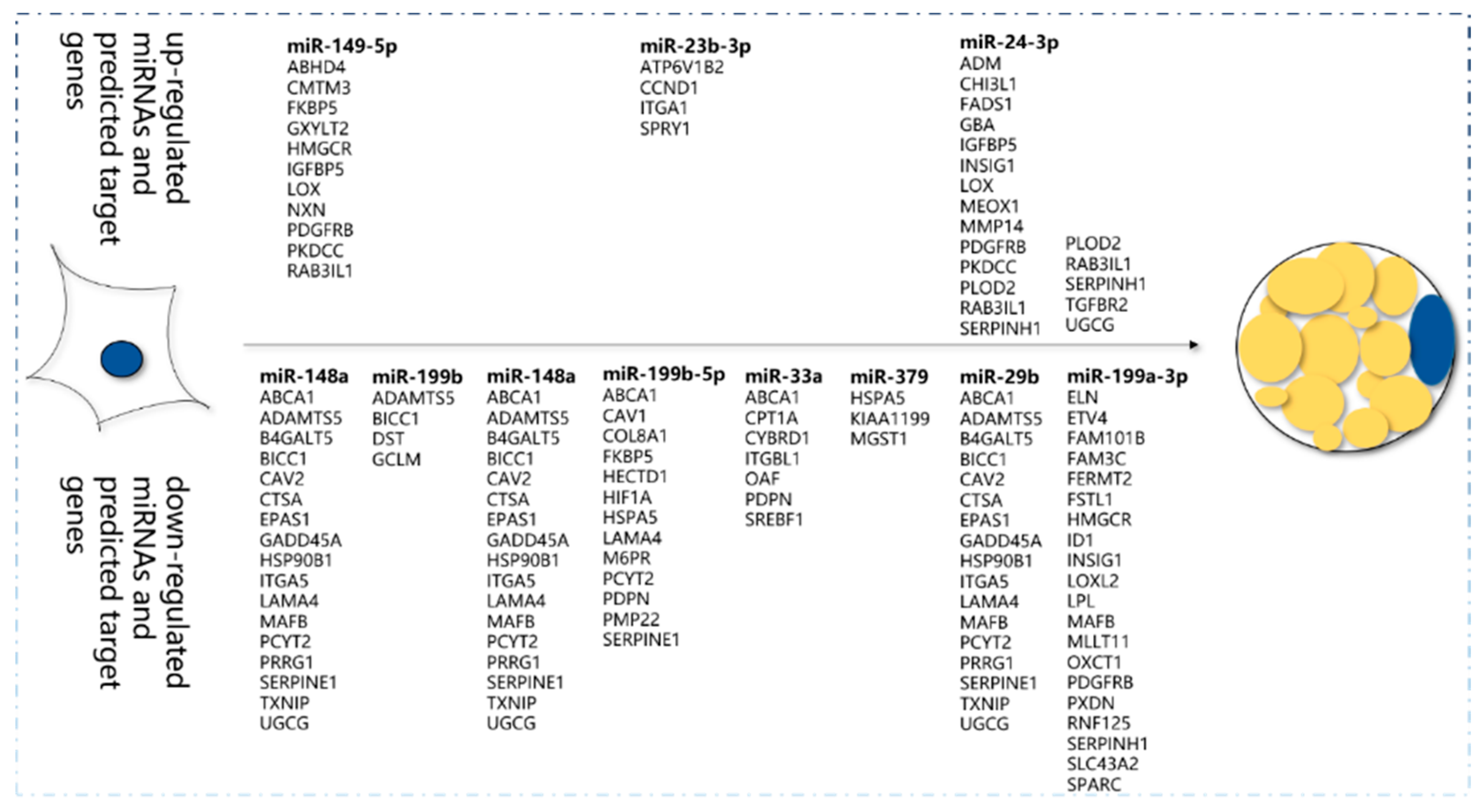 Animals 10 00818 g005 Animals 10 00818 g005