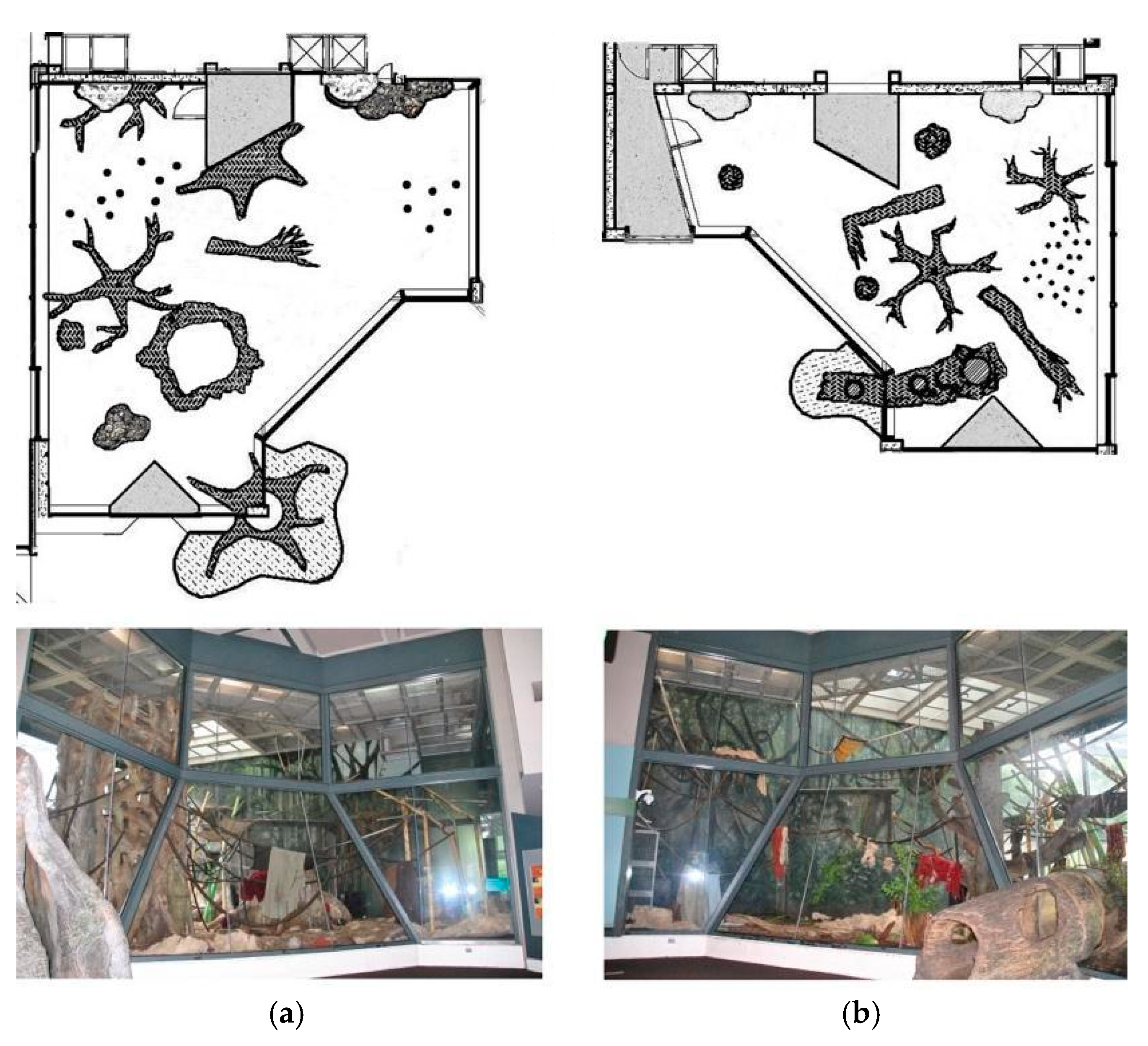 Animals 10 00836 g001