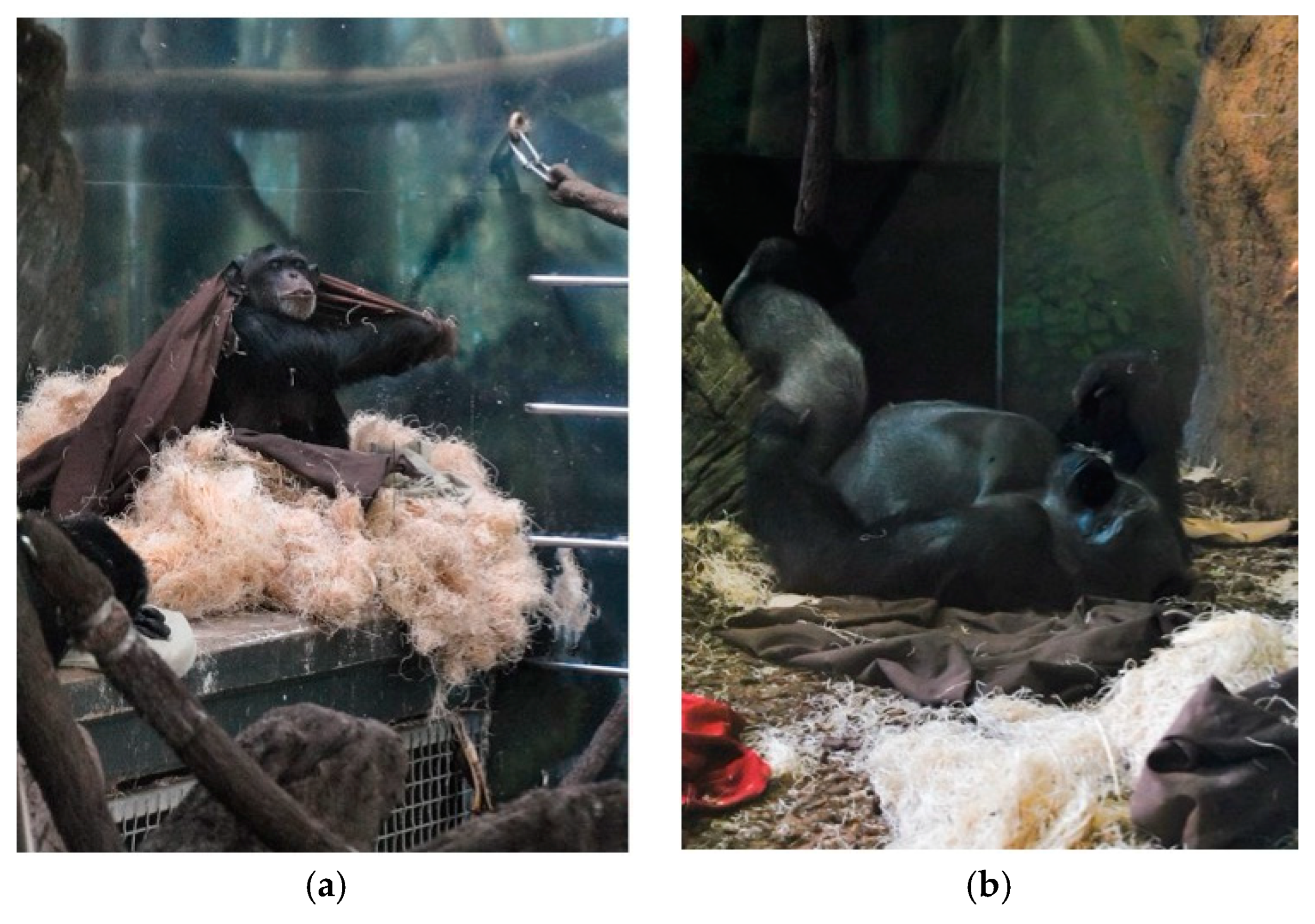 Animals 10 00836 g002