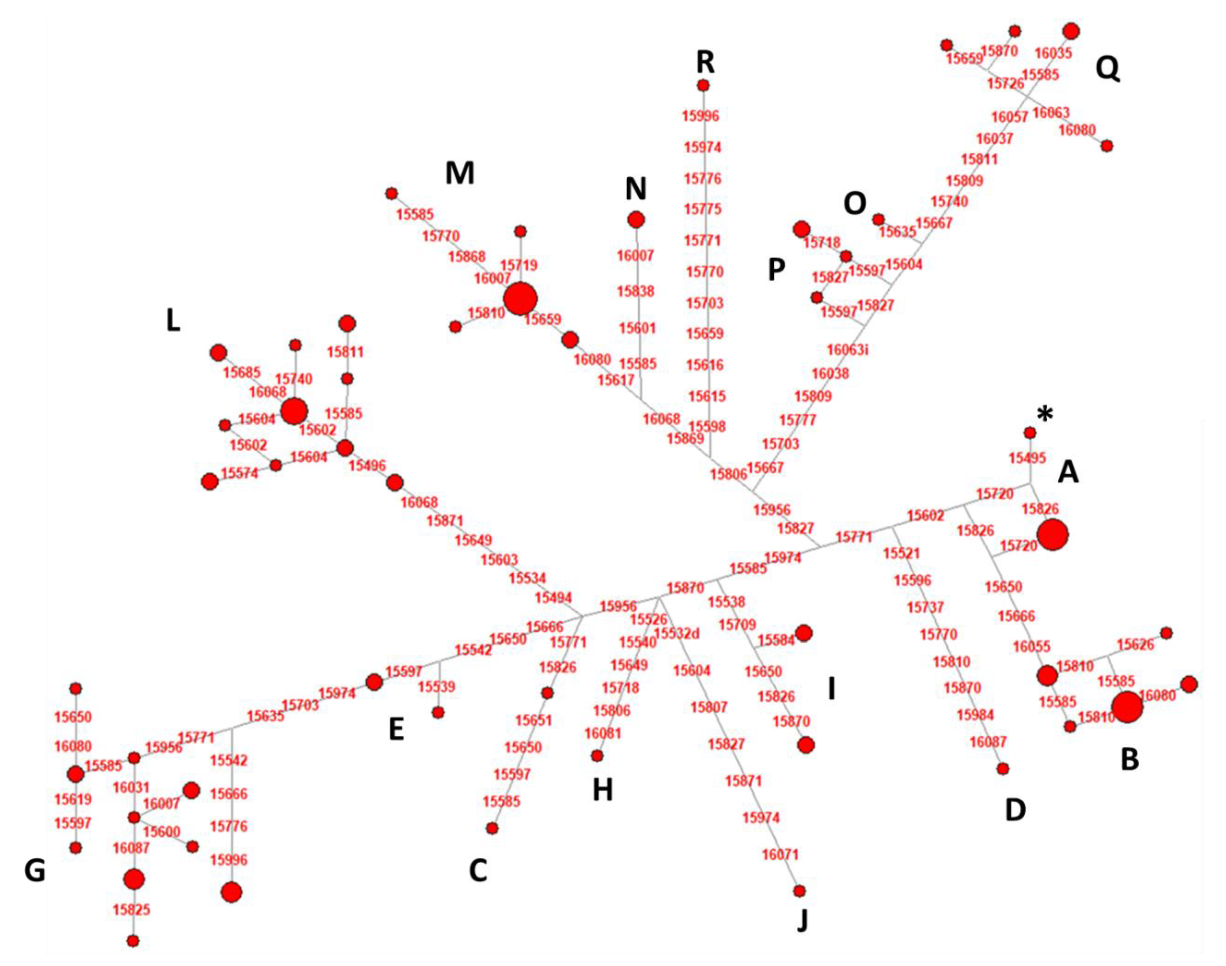 Animals 10 00839 g004 Animals 10 00839 g004