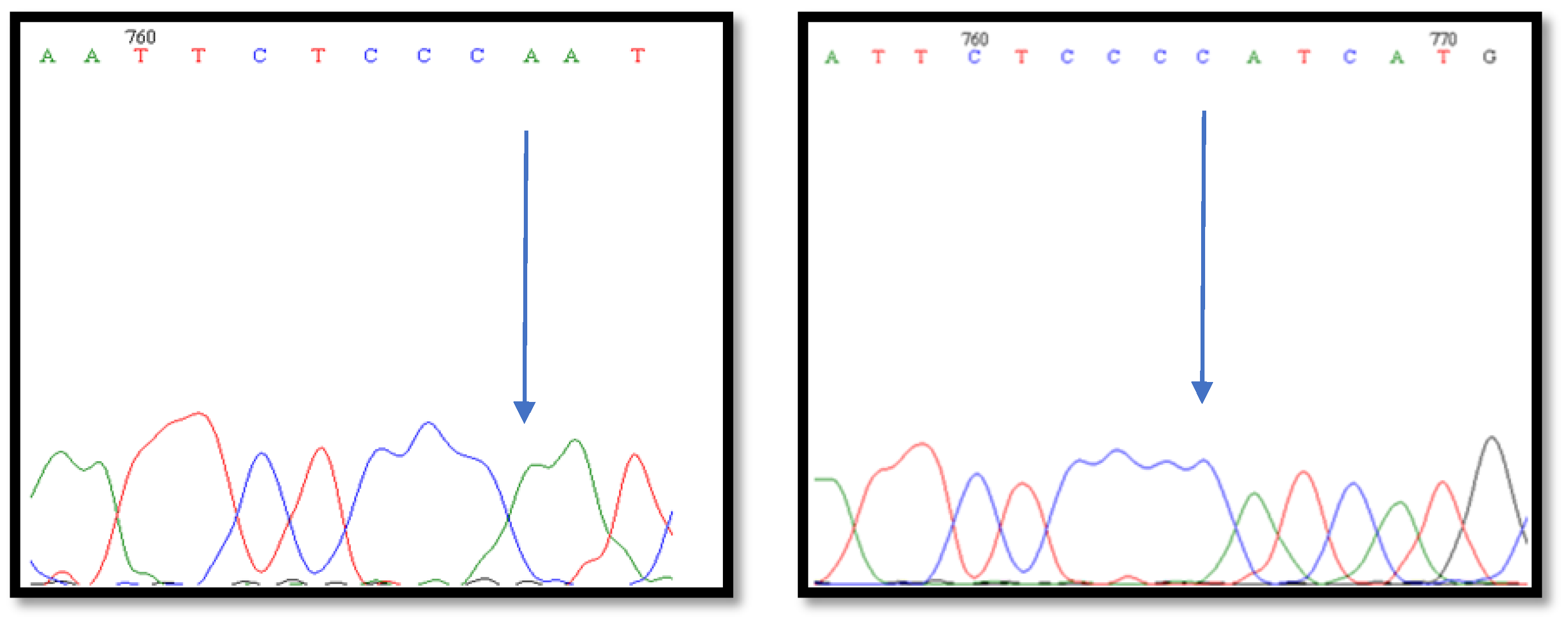 Animals 10 00844 g003