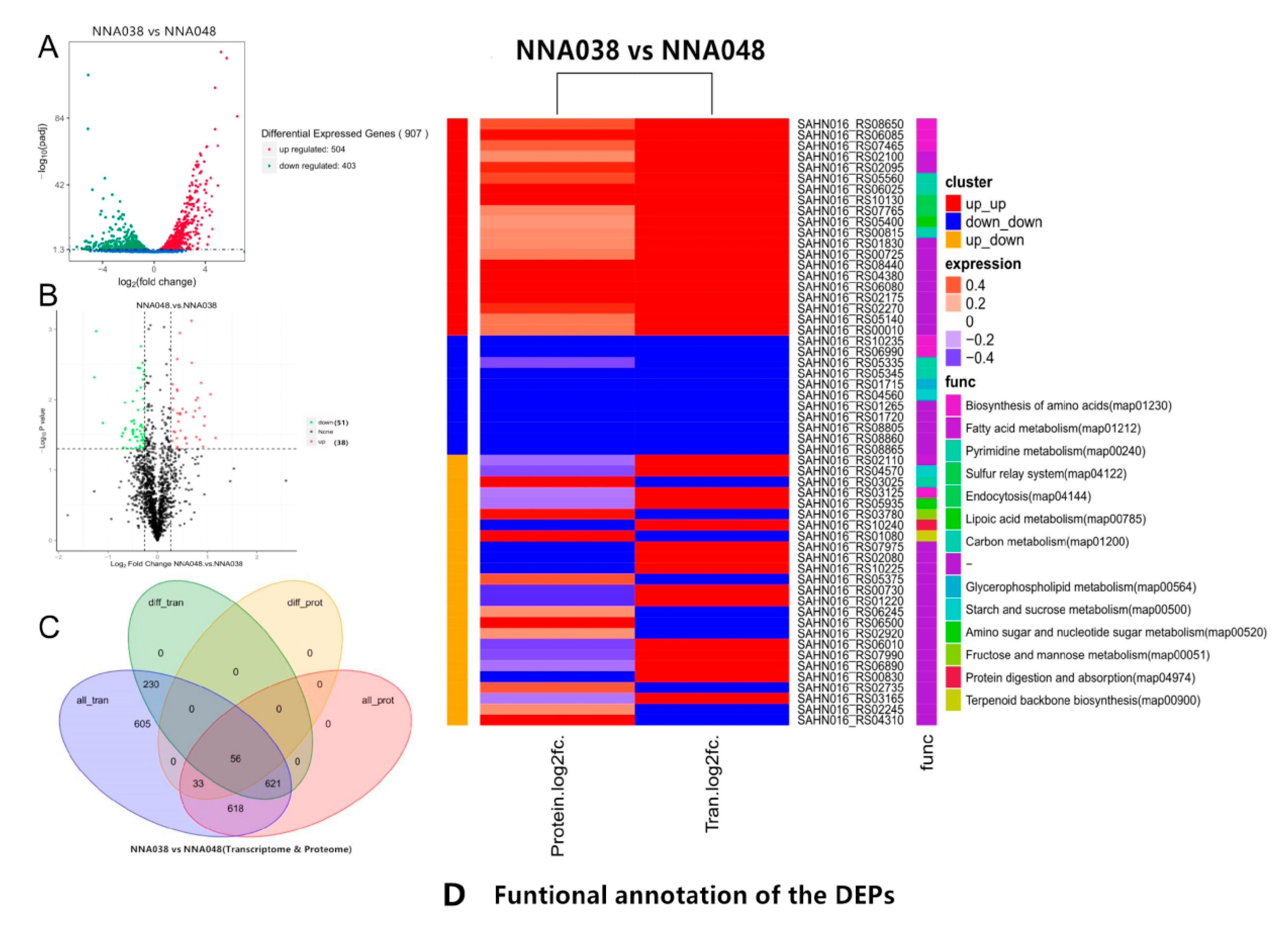 Animals 10 00849 g002
