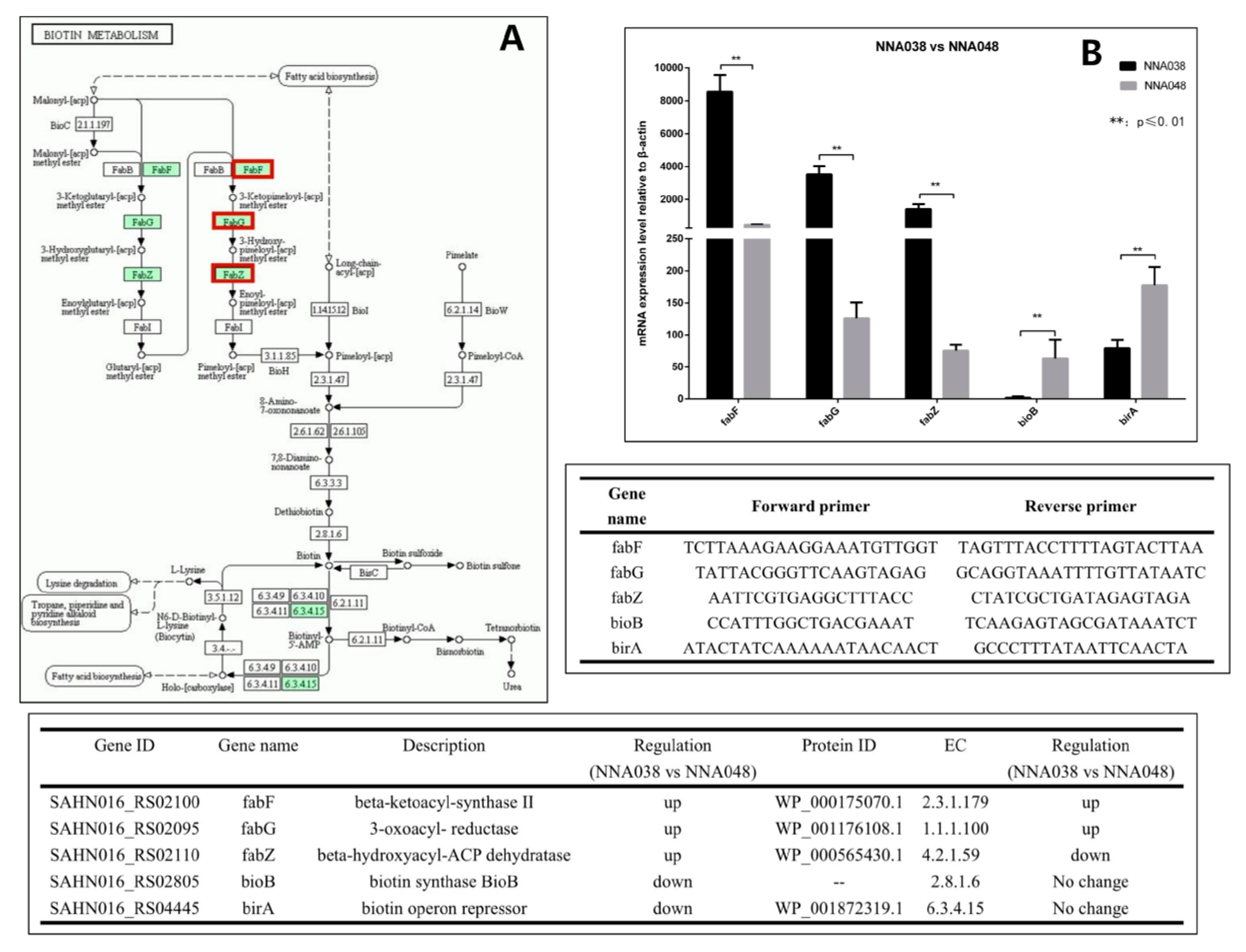 Animals 10 00849 g004