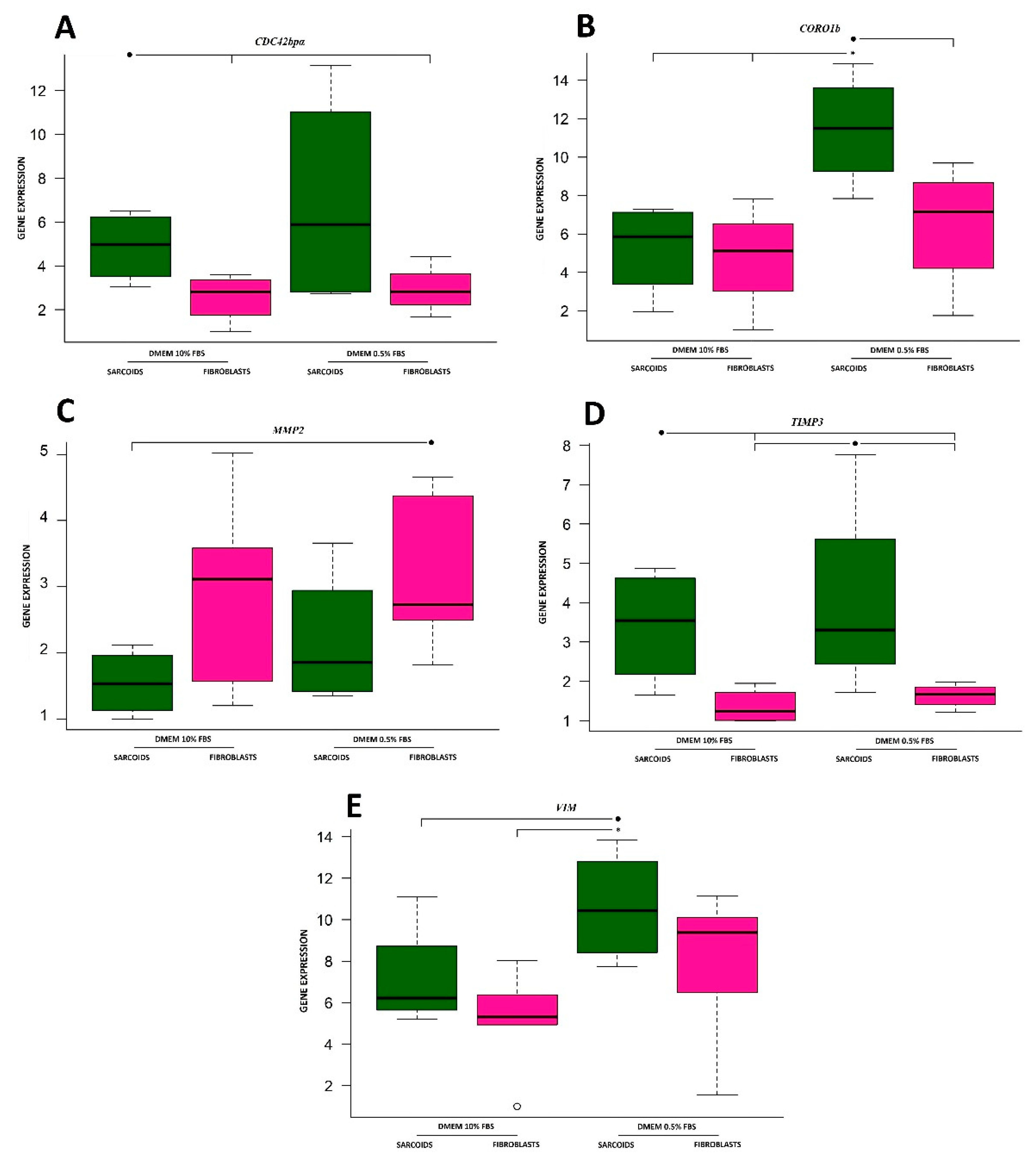 Animals 10 00880 g001