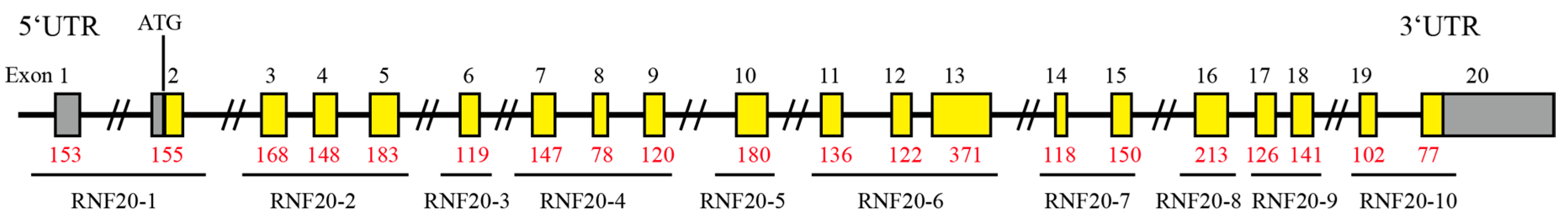 Animals 10 00888 g001