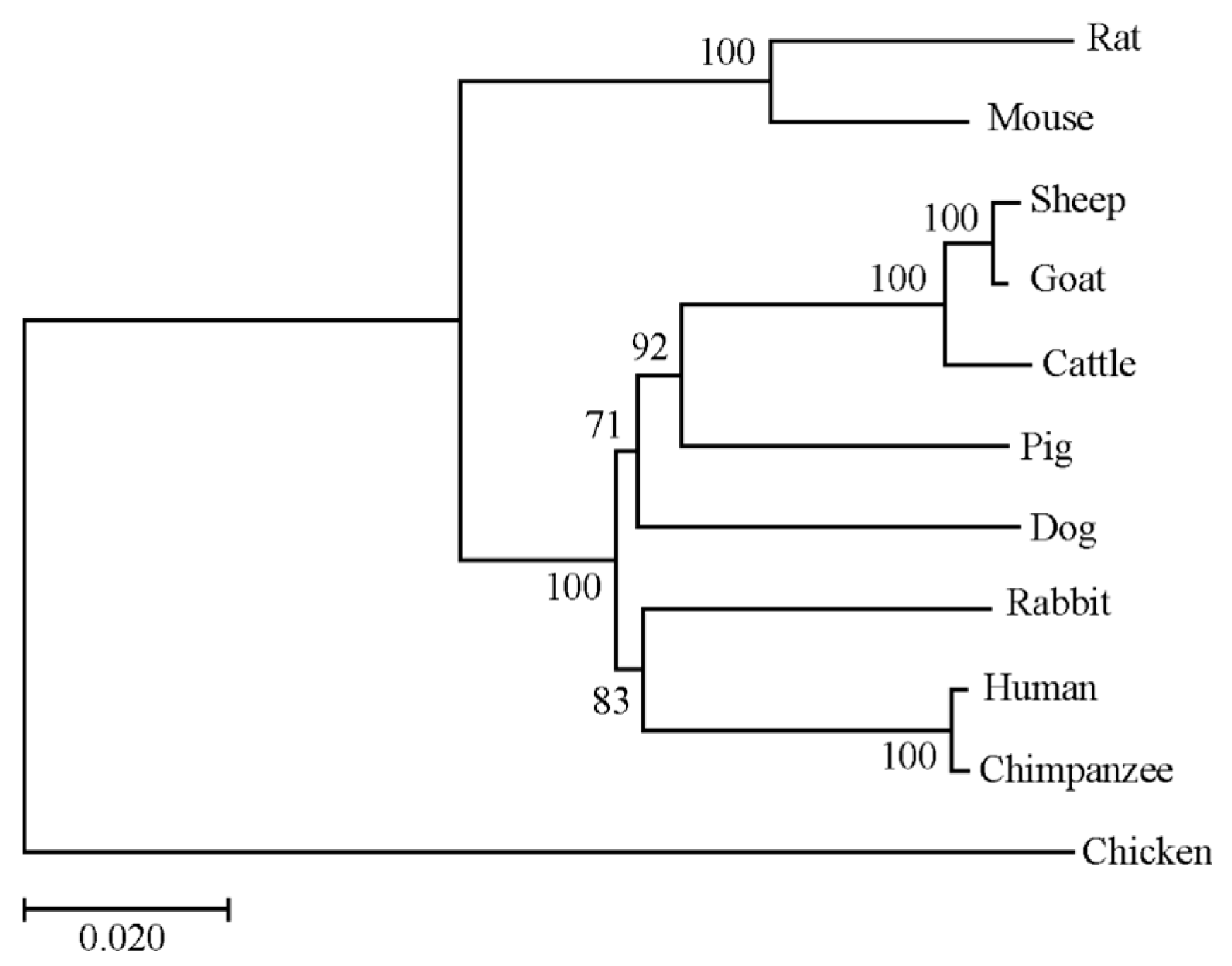 Animals 10 00888 g002