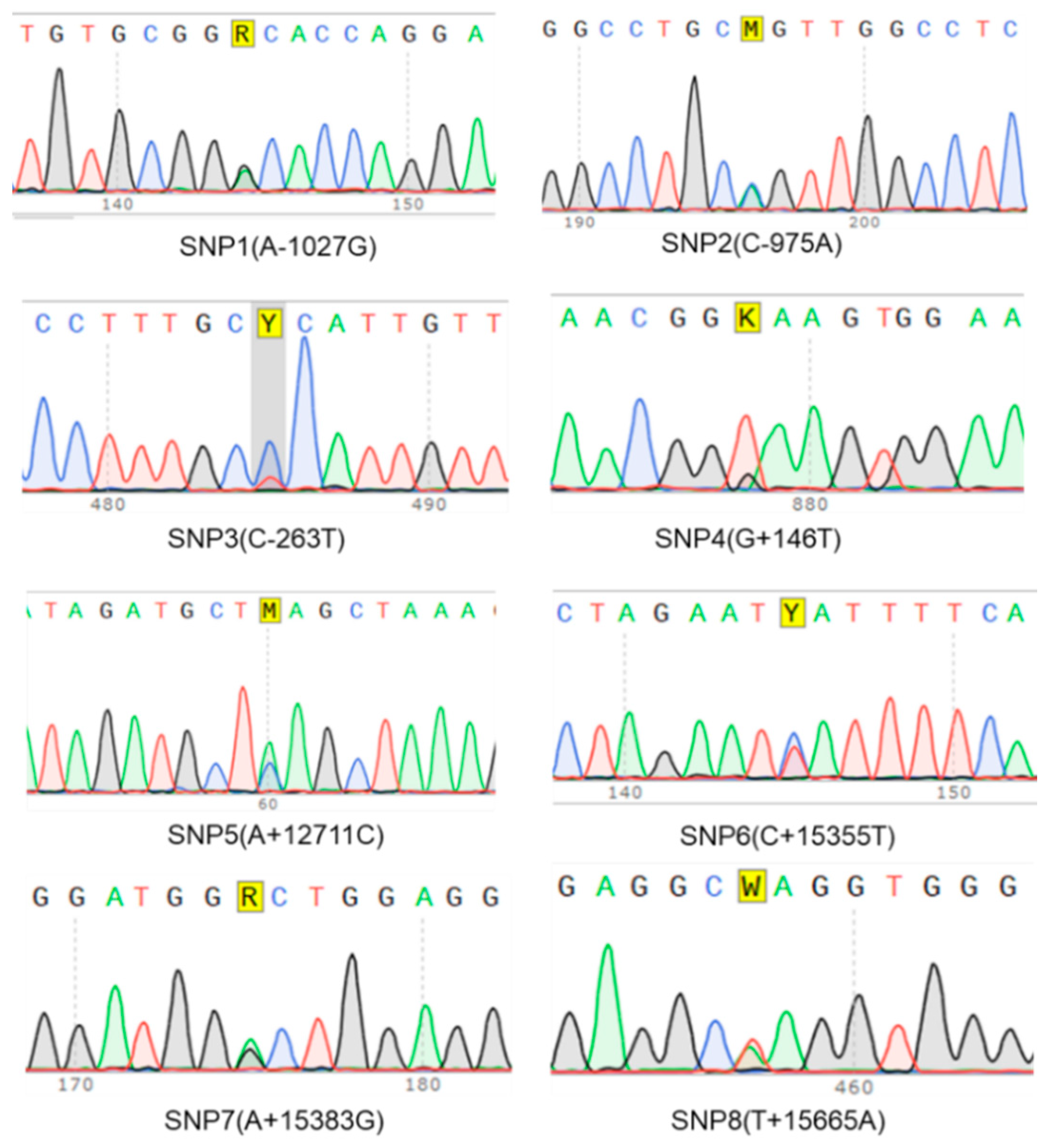 Animals 10 00888 g005