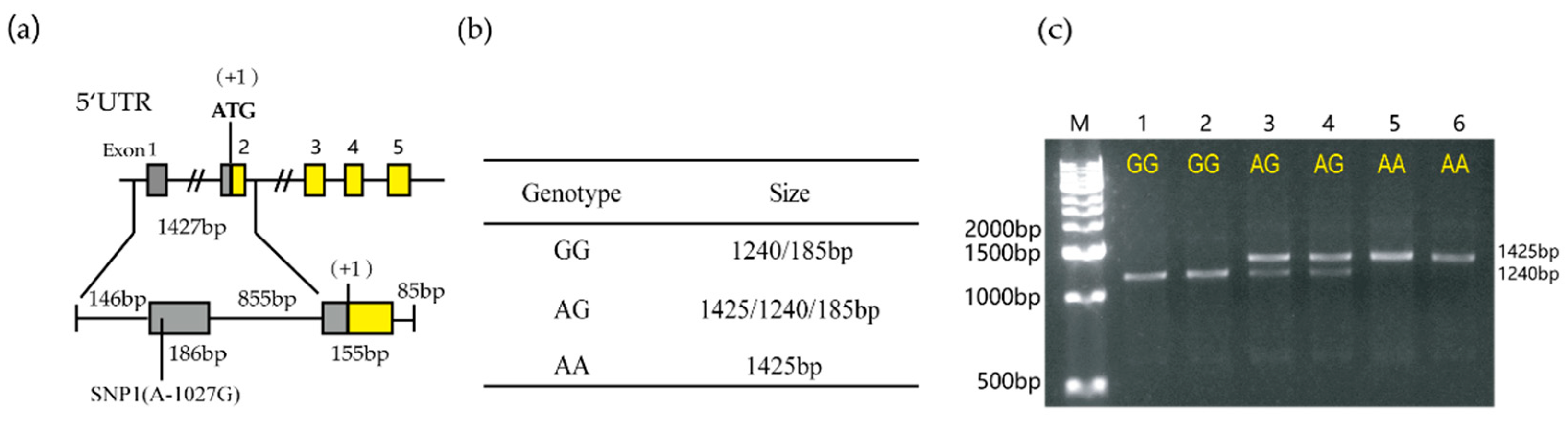 Animals 10 00888 g006