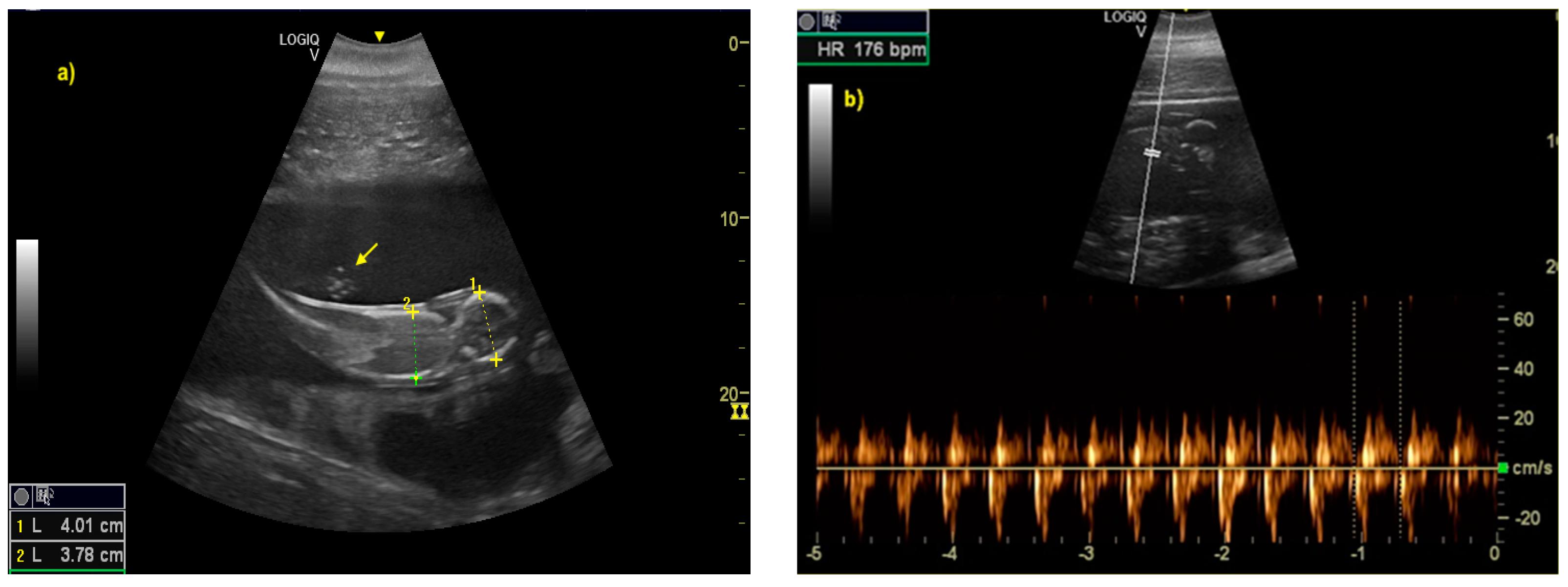 Animals 10 00908 g003 Animals 10 00908 g003