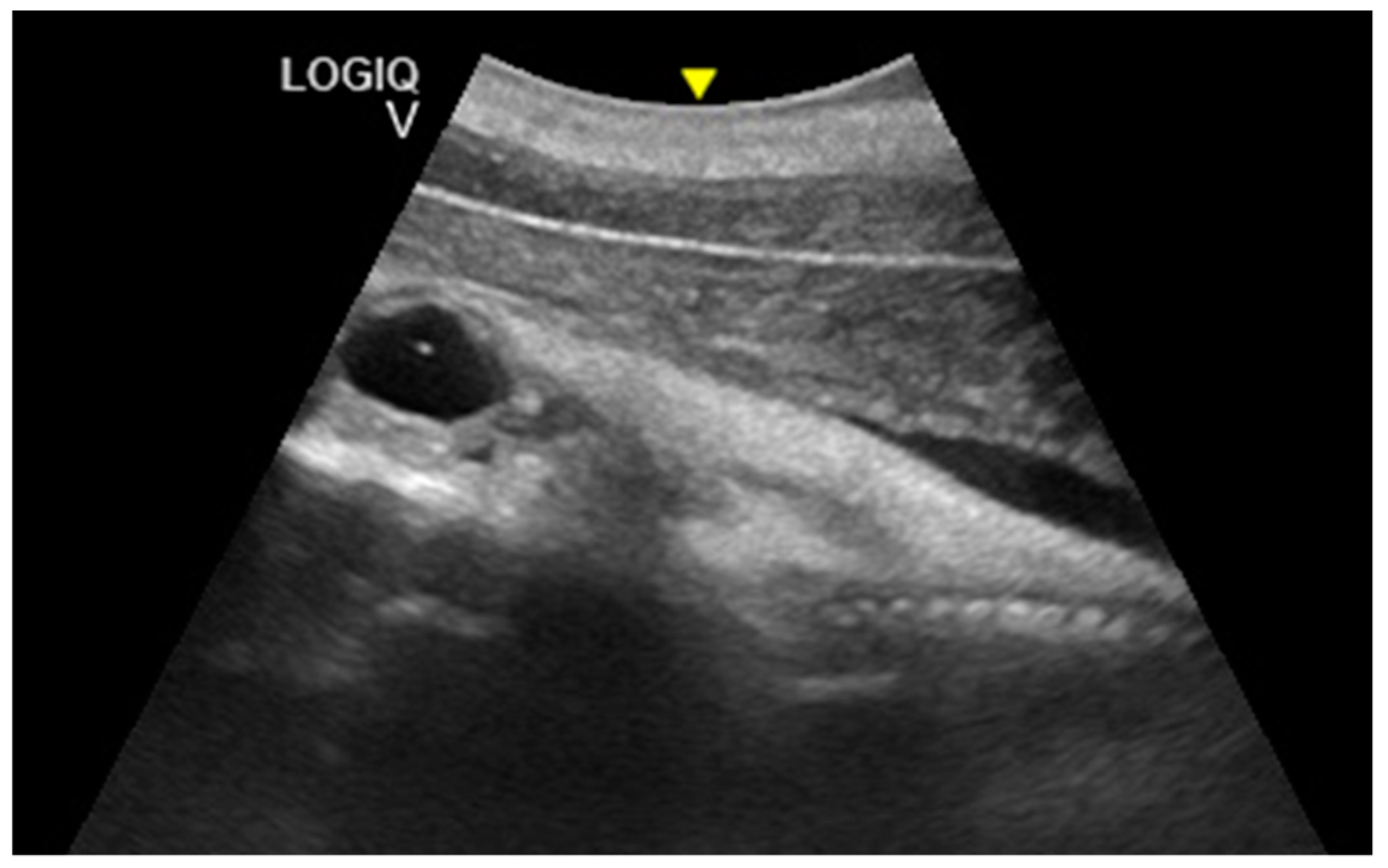 Animals 10 00908 g006 Animals 10 00908 g006