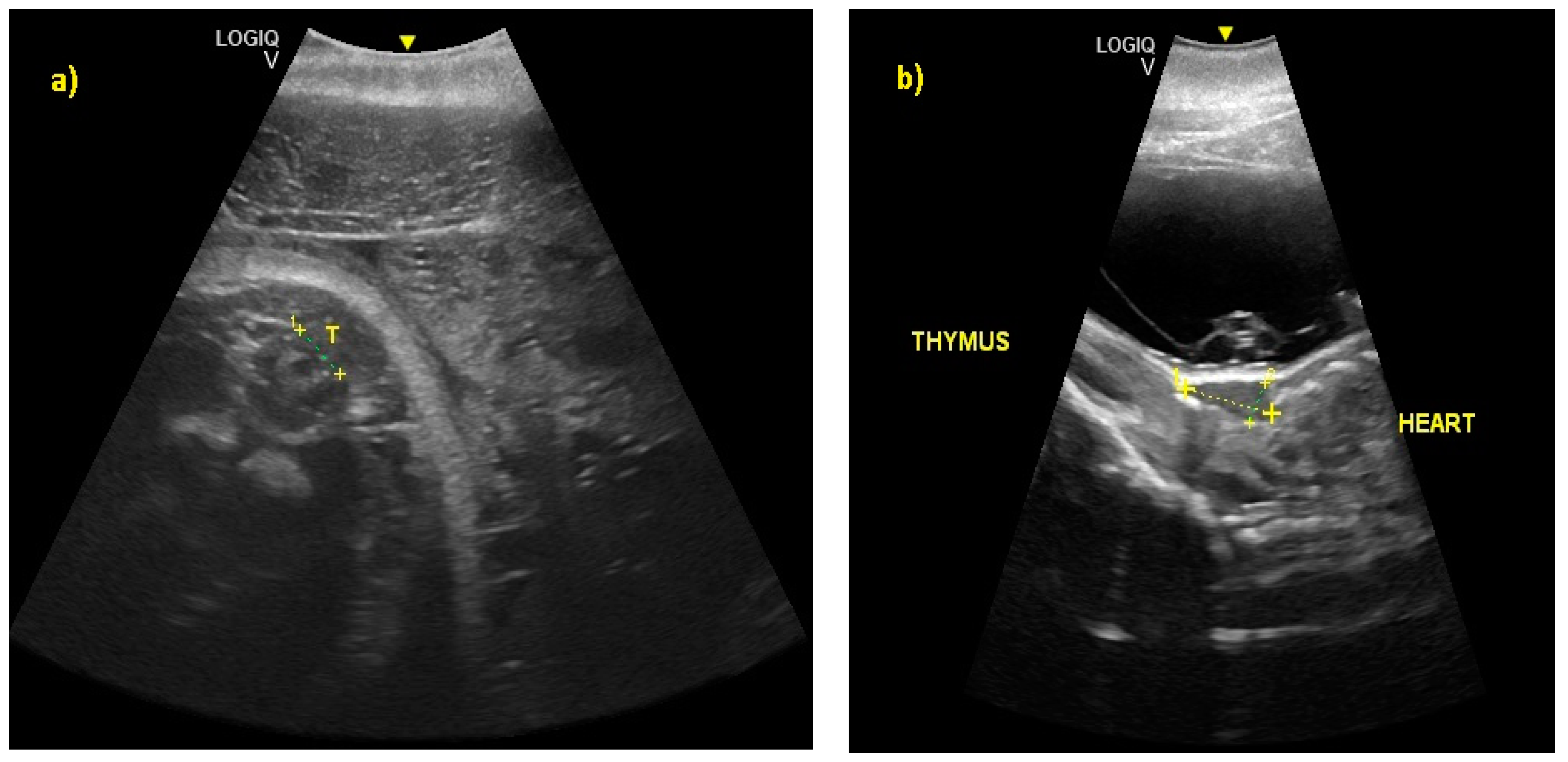 Animals 10 00908 g008 Animals 10 00908 g008