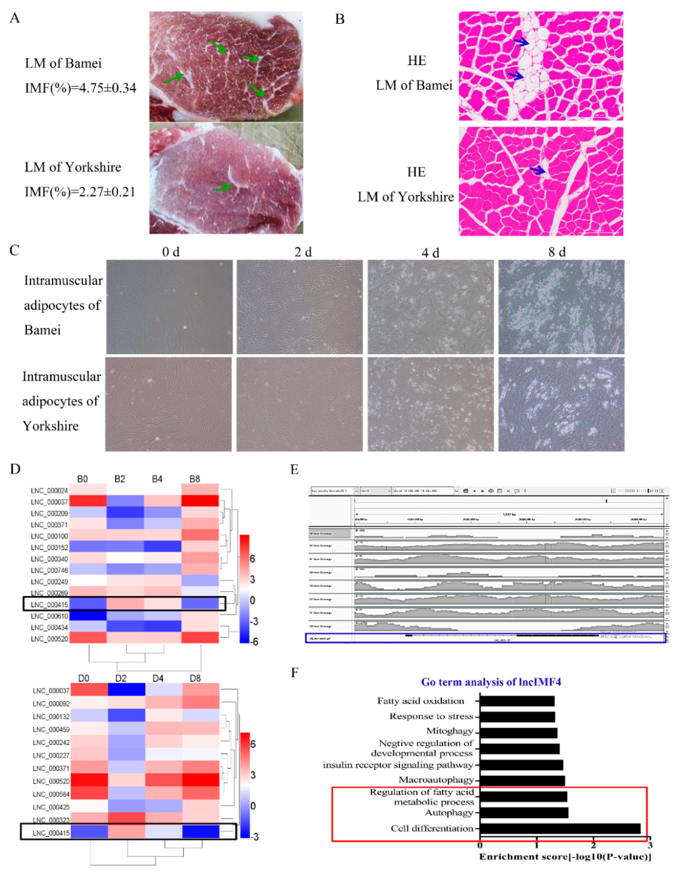 Animals 10 00926 g001