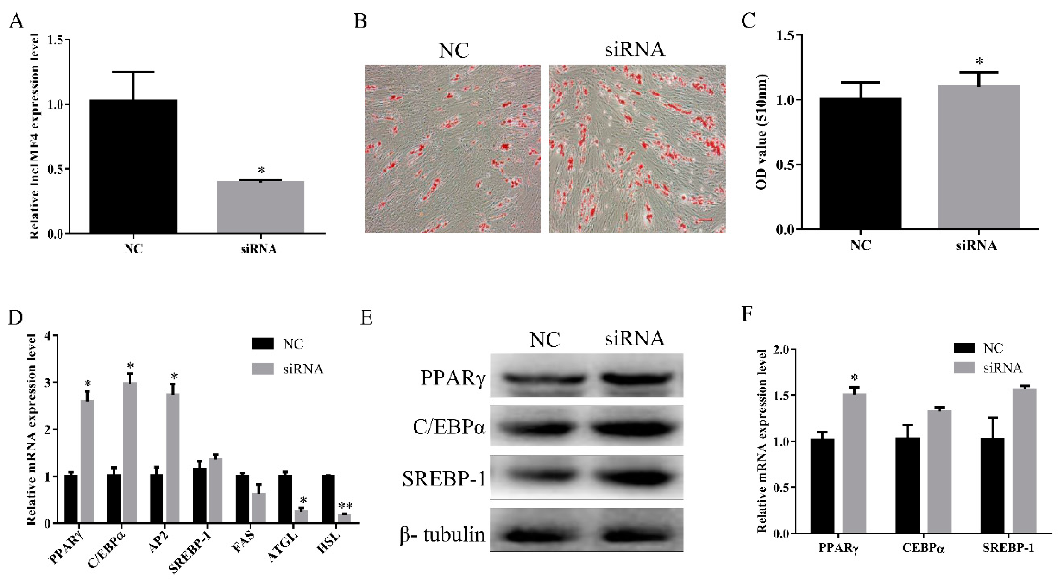 Animals 10 00926 g004