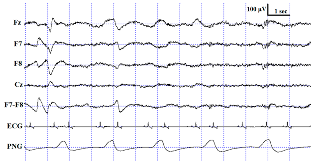 Animals 10 00927 i002