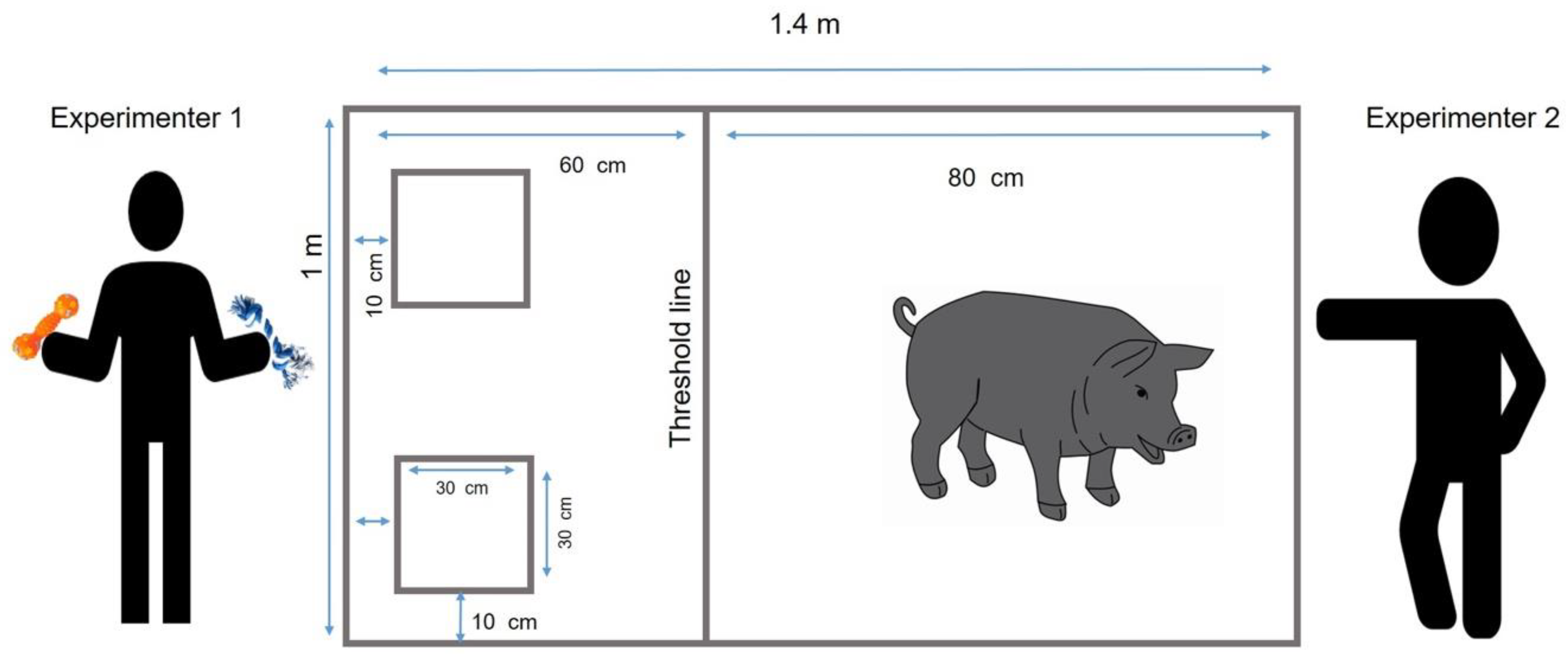 Animals 10 00959 g001 Animals 10 00959 g001