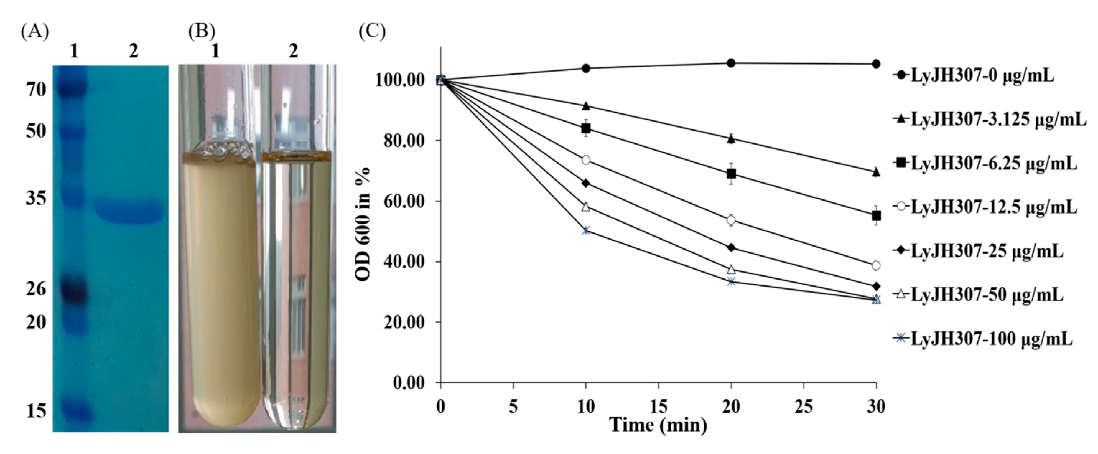 Animals 10 00963 g002 Animals 10 00963 g002